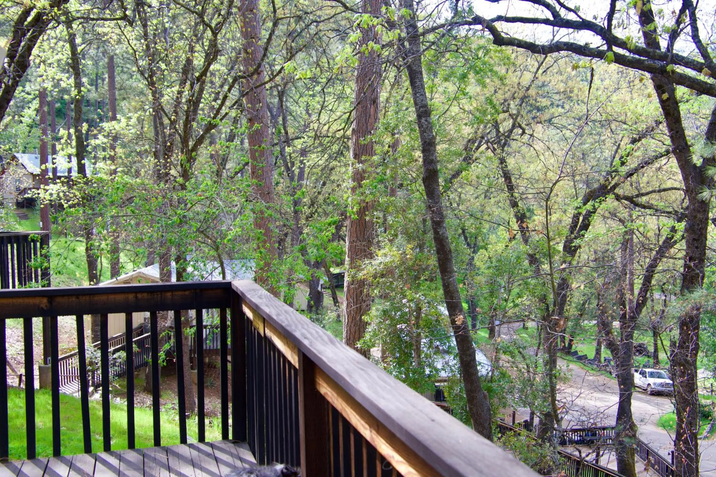 Yosemite Bug Rustic Mountain Resort