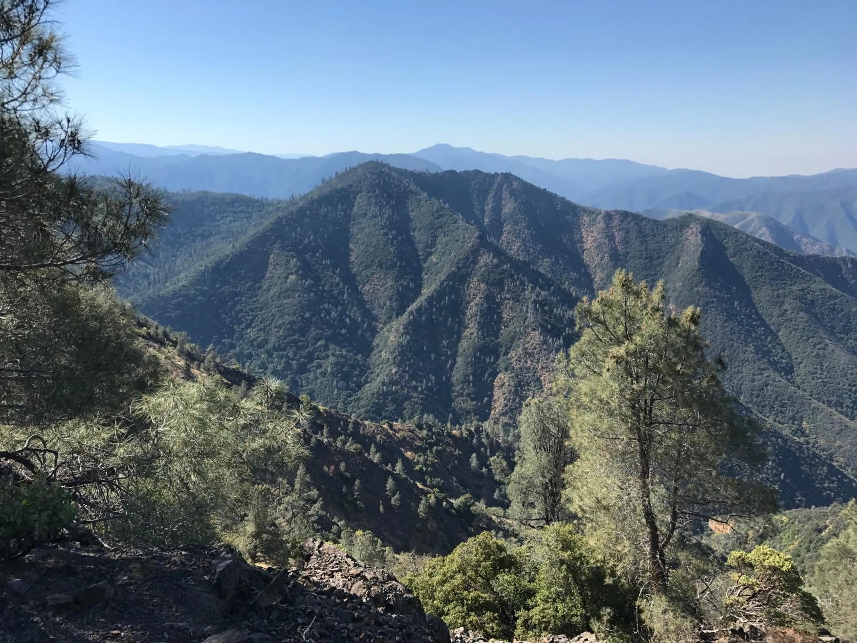 Yosemite Bug Rustic Mountain Resort