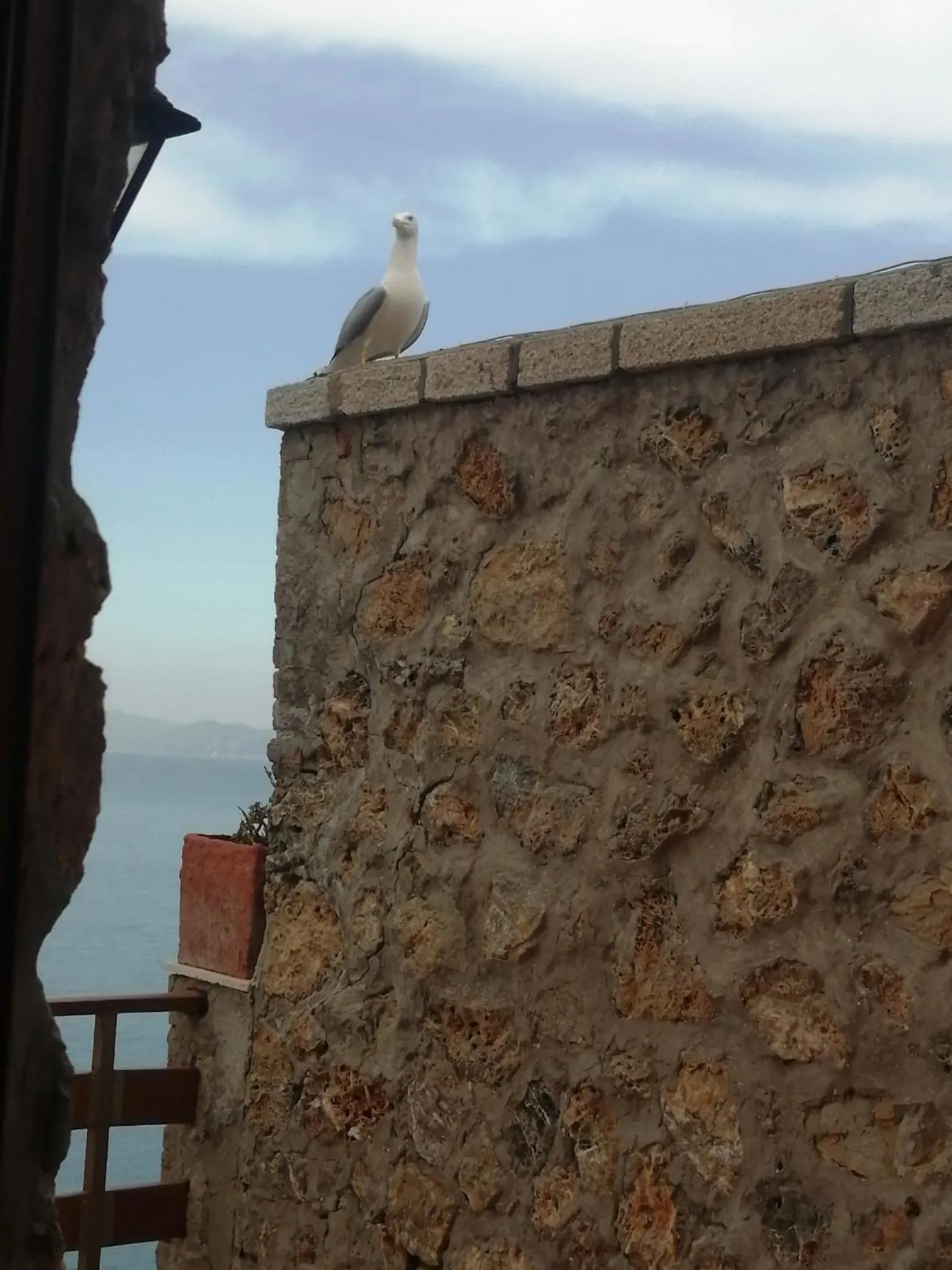 VILLA FLORA ARGENTARIO