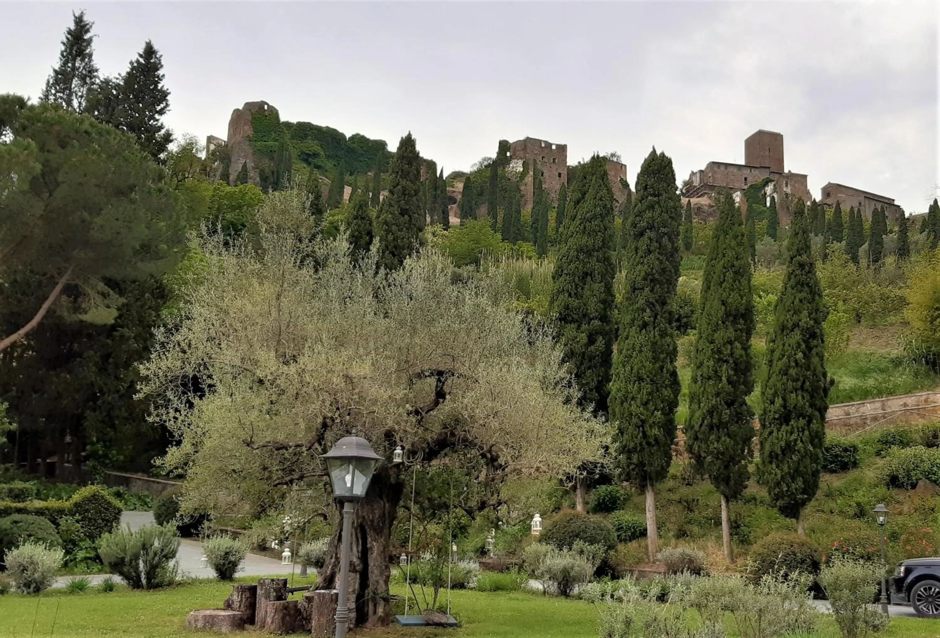 Natural landscape in L'Olivo Country Resort & SPA