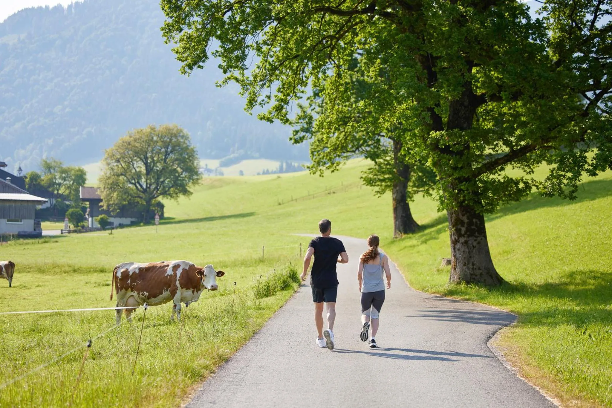 Nearby landmark in Das Walchsee Resort