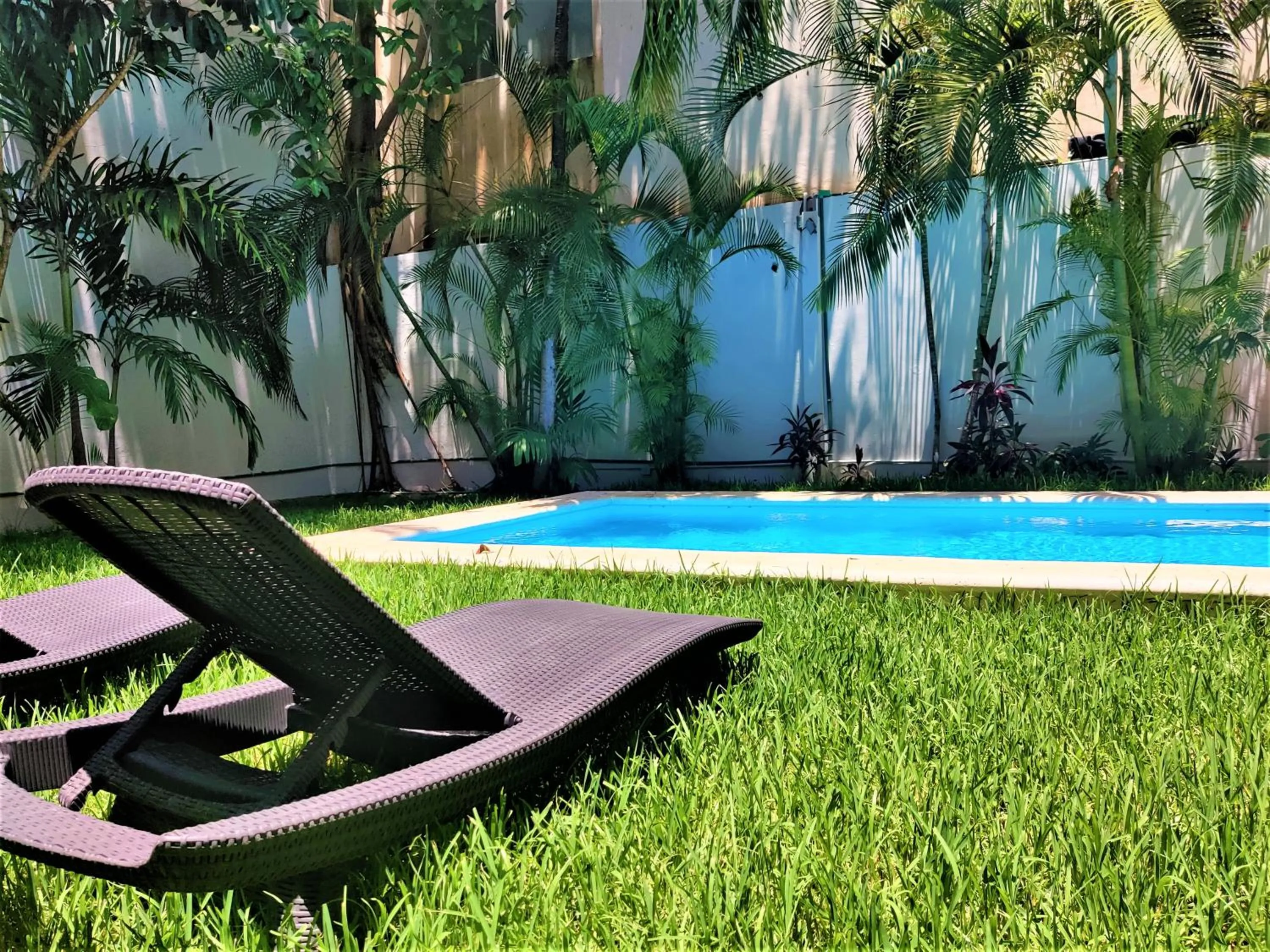 Swimming pool in Hotel Mariachi by Kavia 5th Av