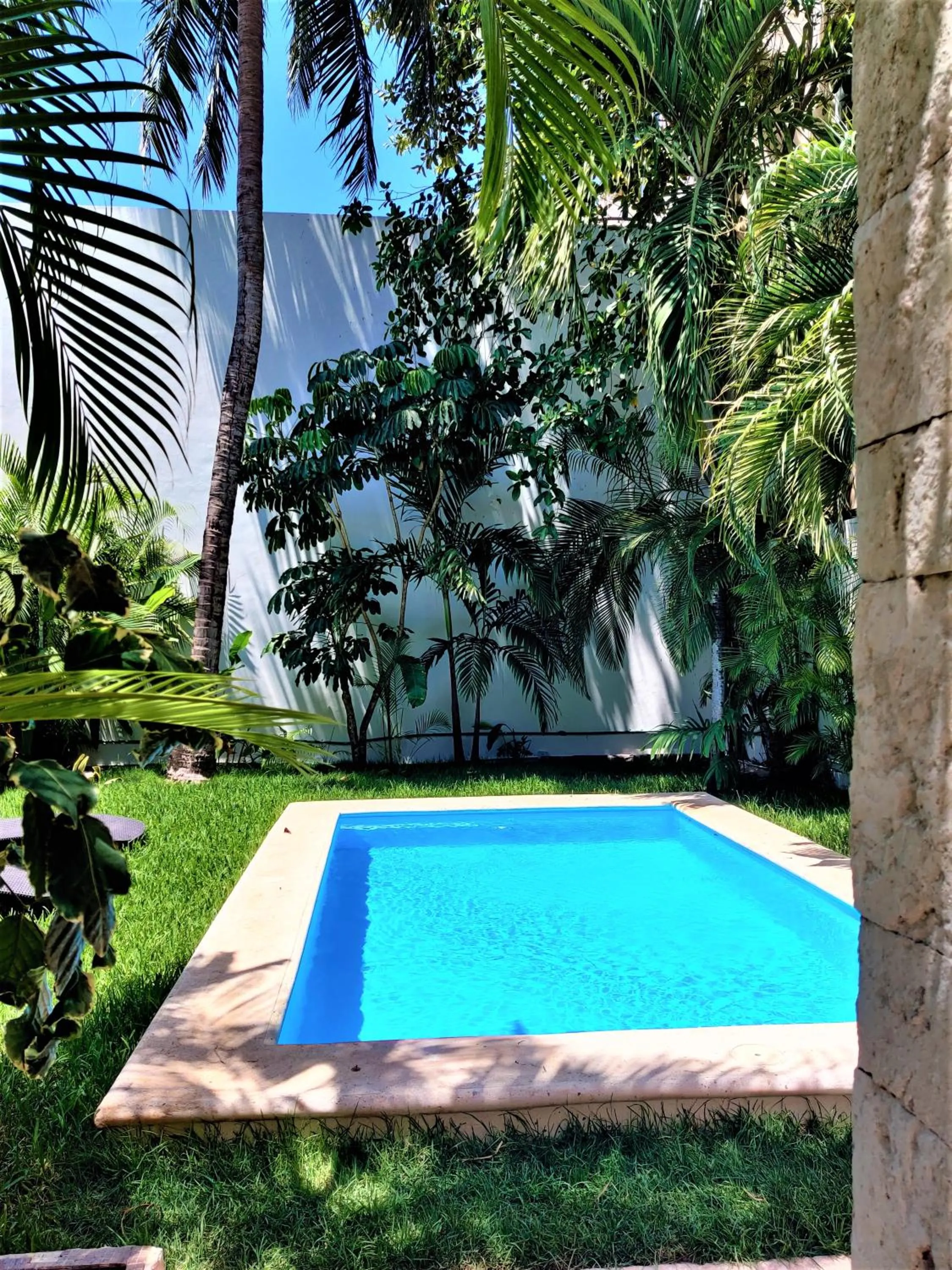 Swimming pool in Hotel Mariachi by Kavia 5th Av