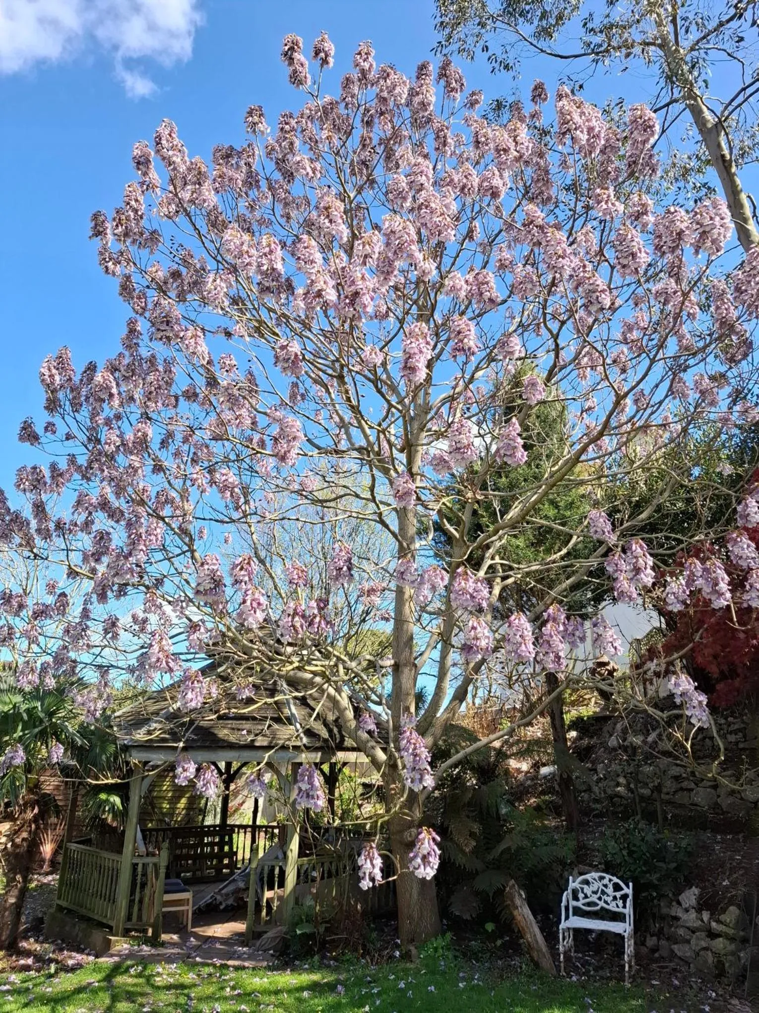 Palm Grove Apartments