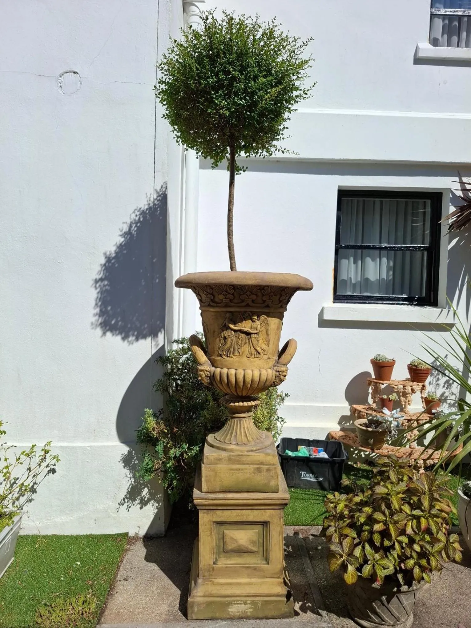 Palm Grove Apartments