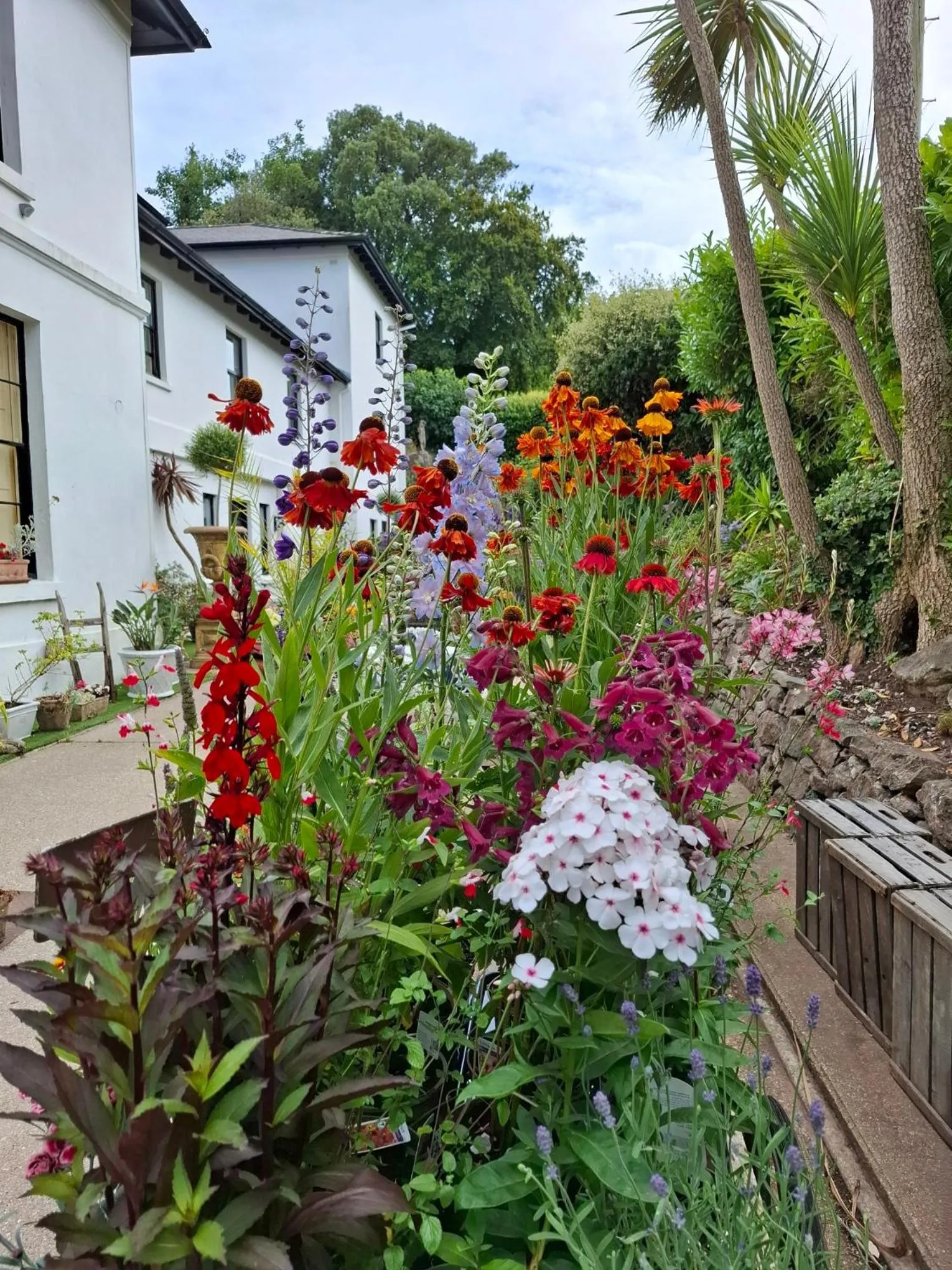 Palm Grove Apartments