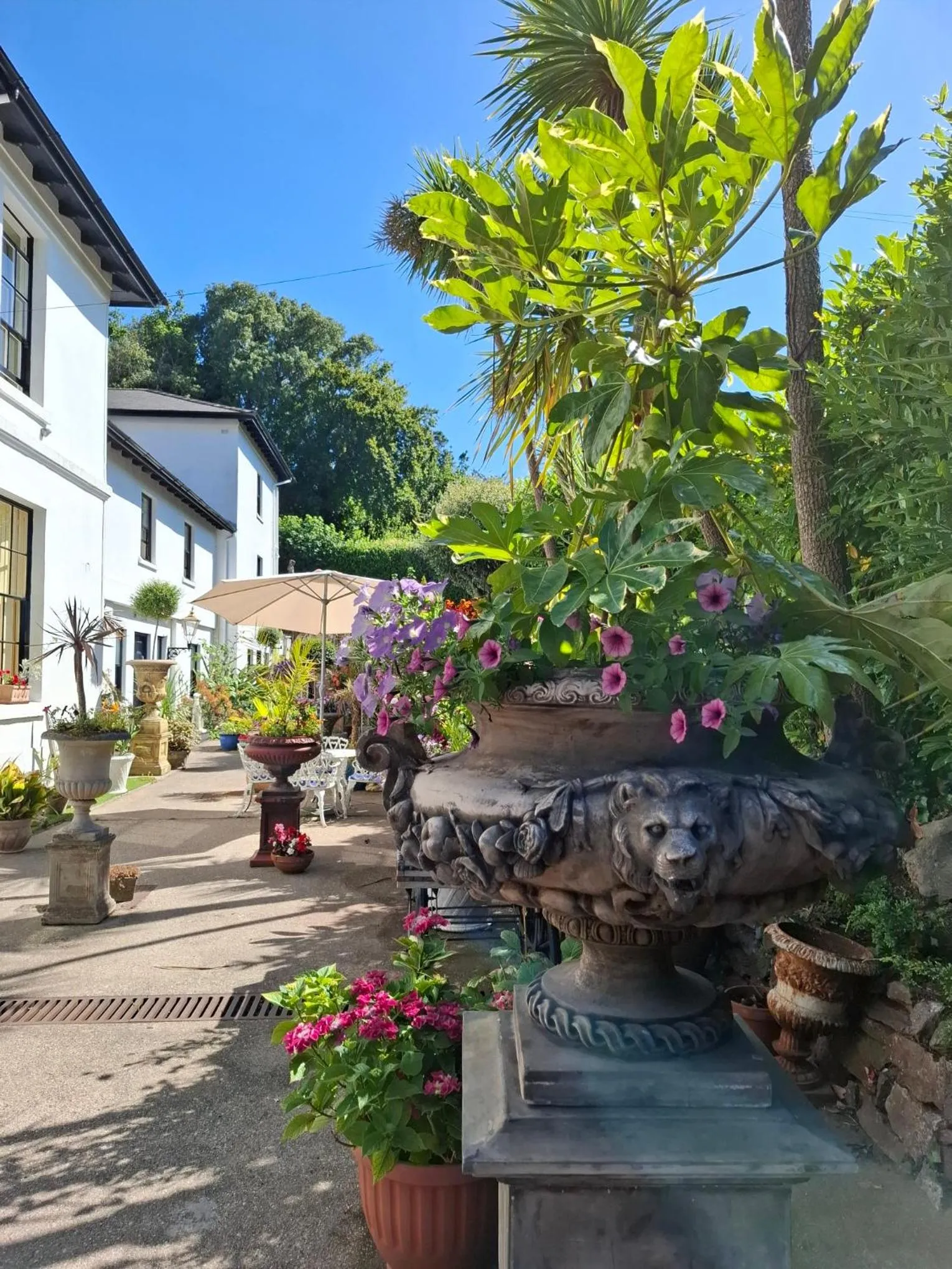 Palm Grove Apartments