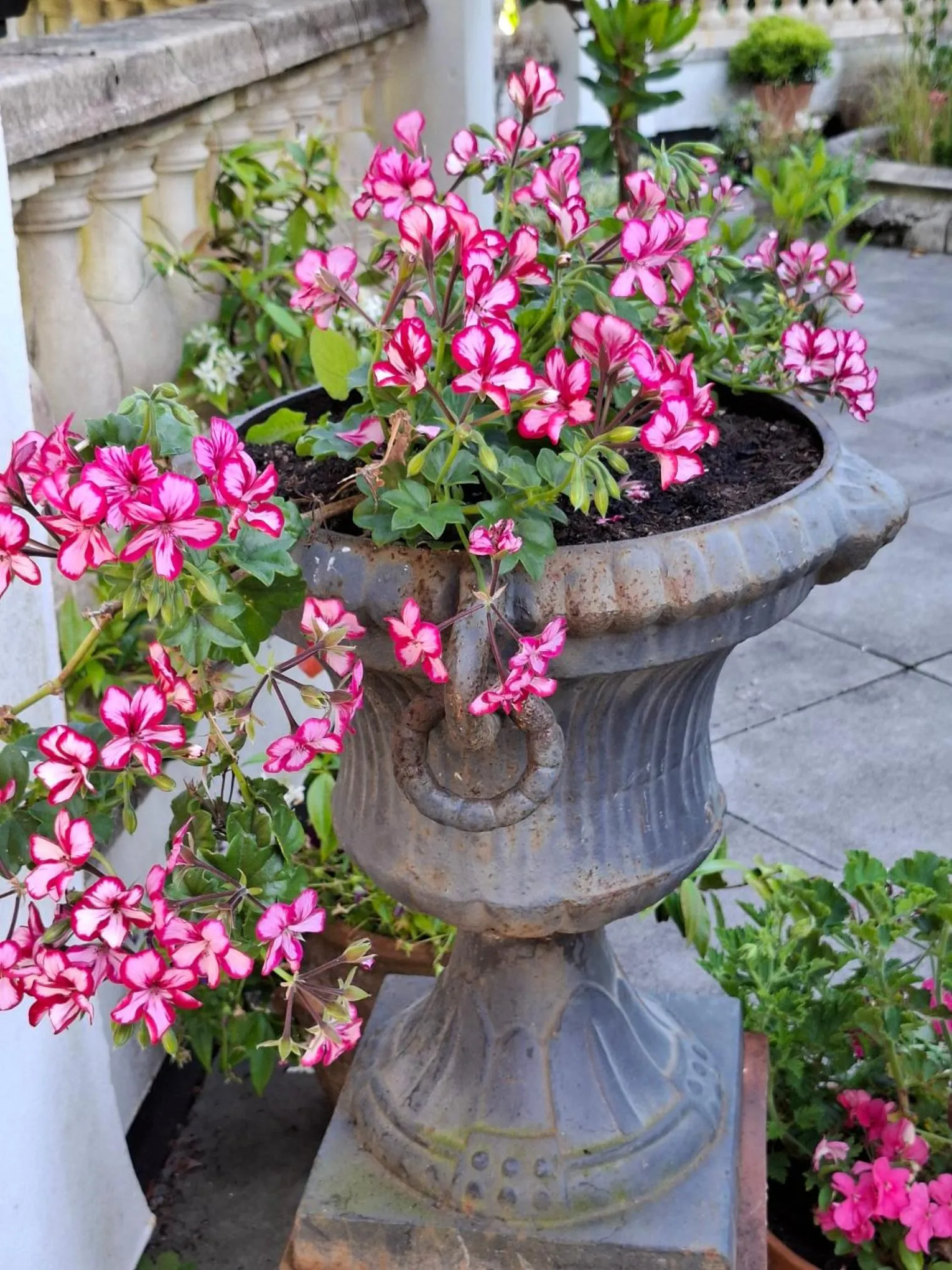 Palm Grove Apartments