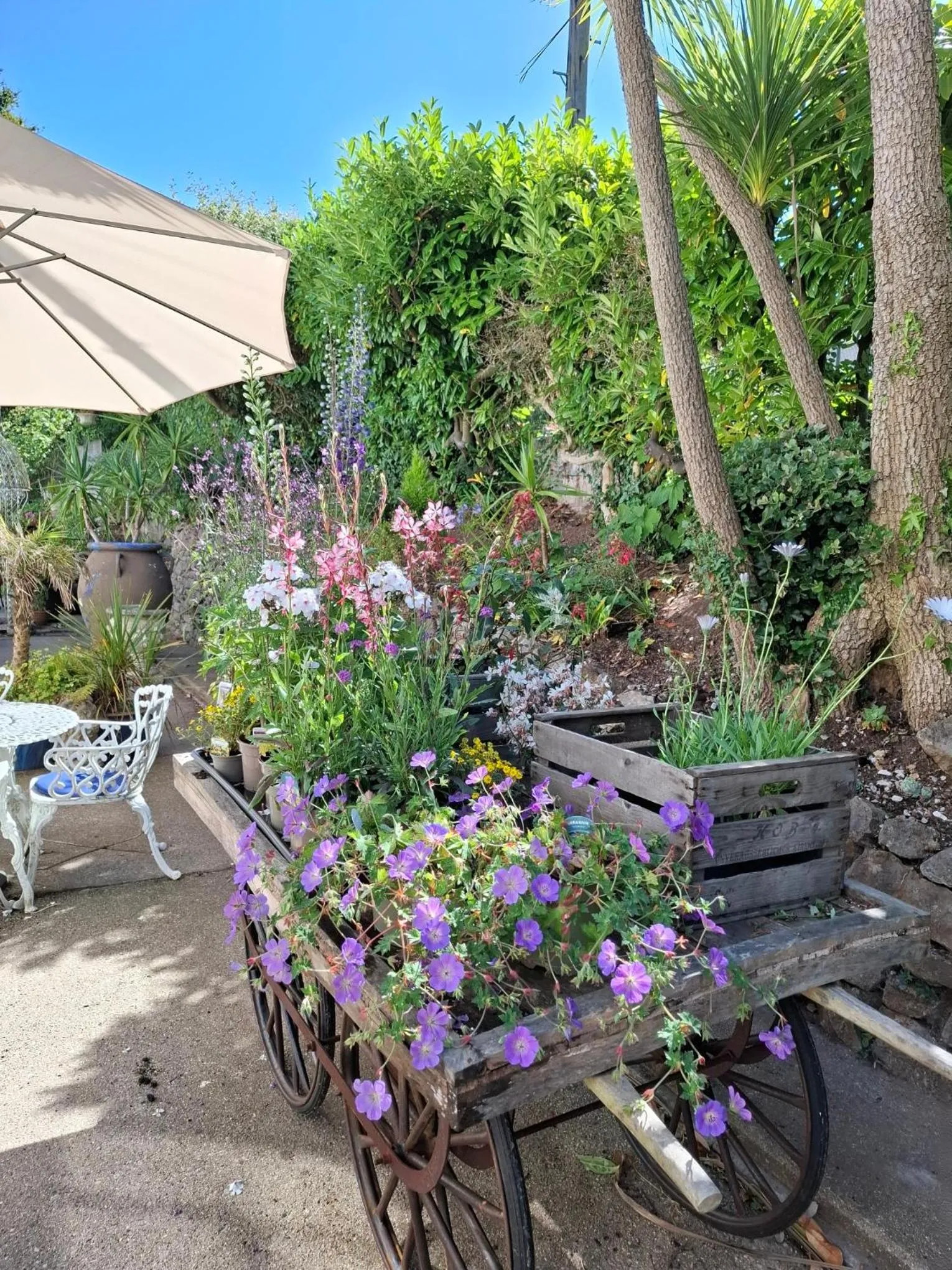 Palm Grove Apartments