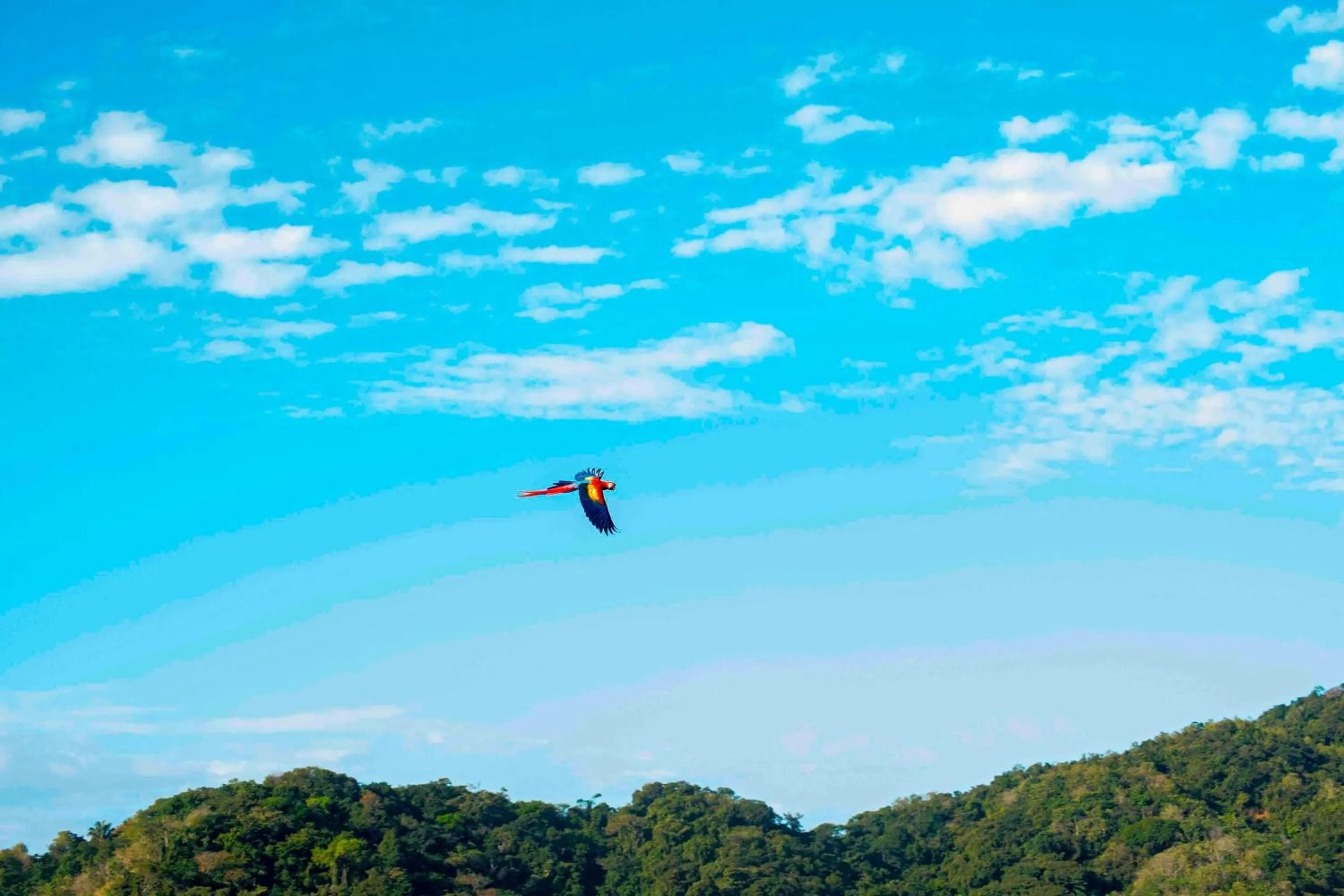 Other in Punta Islita, Autograph Collection