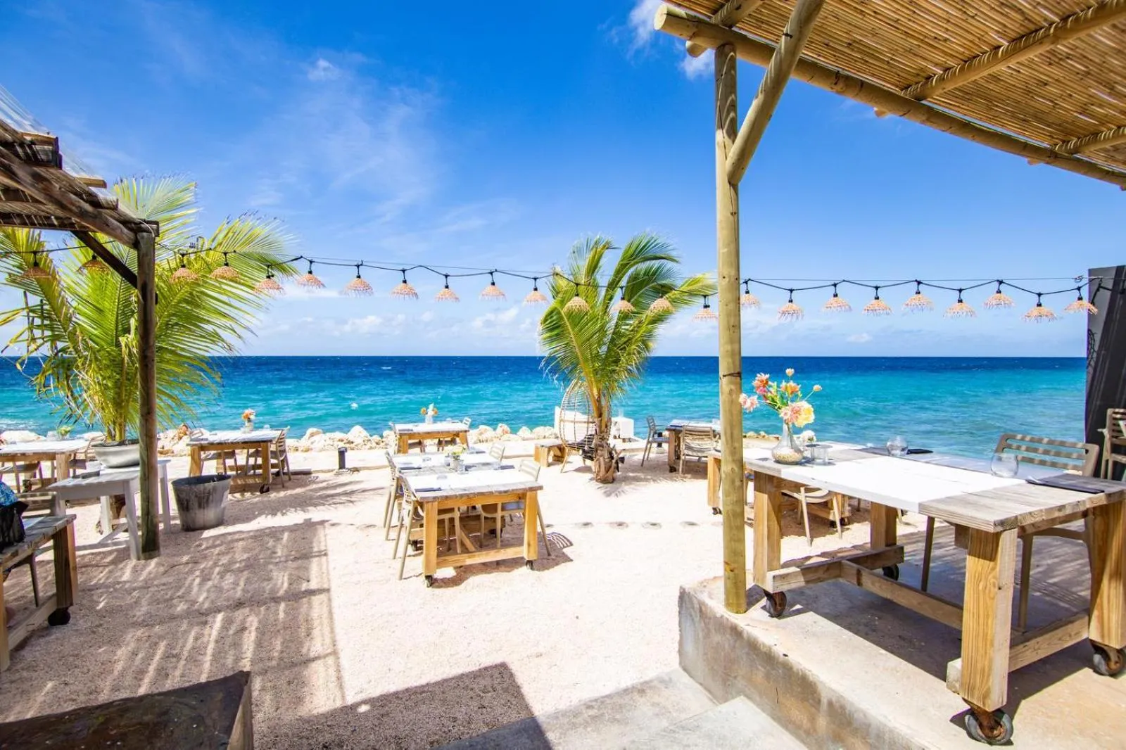 Restaurant/places to eat in BijBlauw