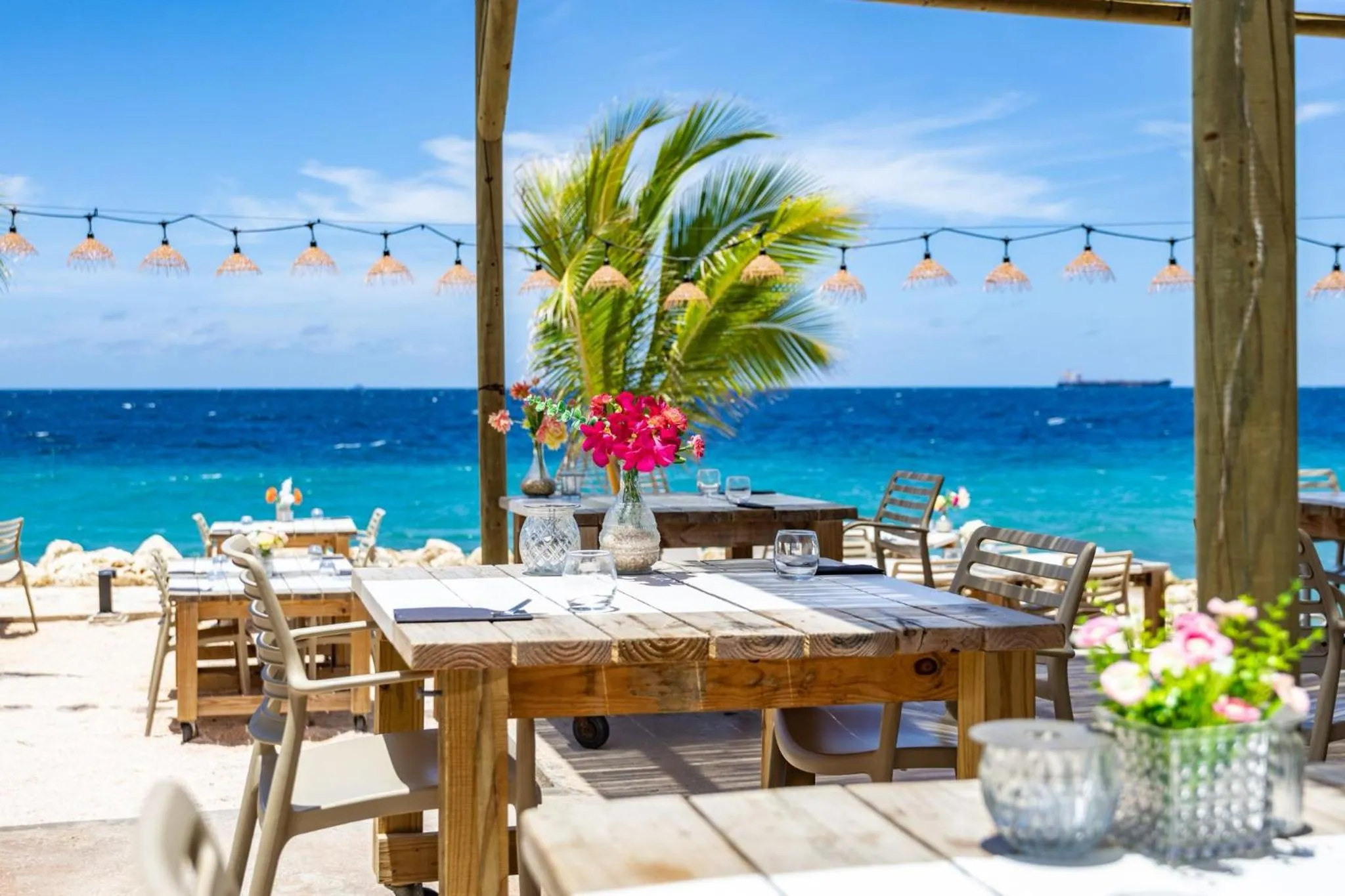 Restaurant/places to eat in BijBlauw