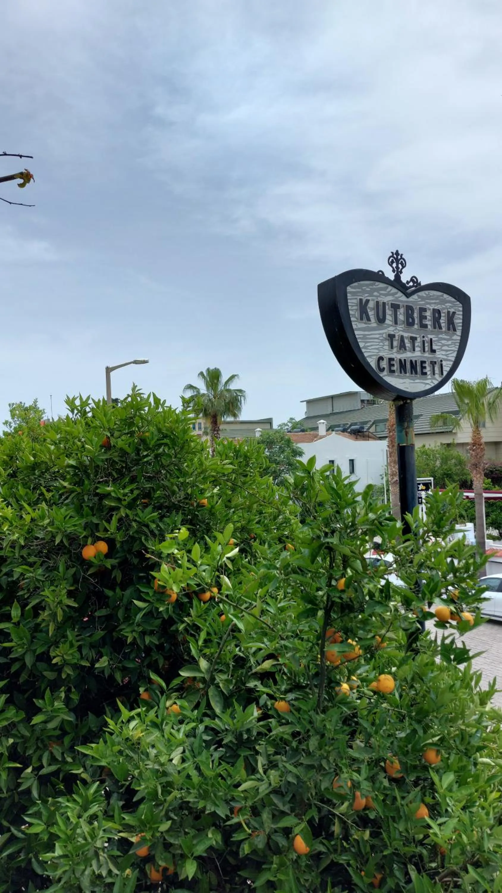 View (from property/room) in Kutberk Hotel Kemer