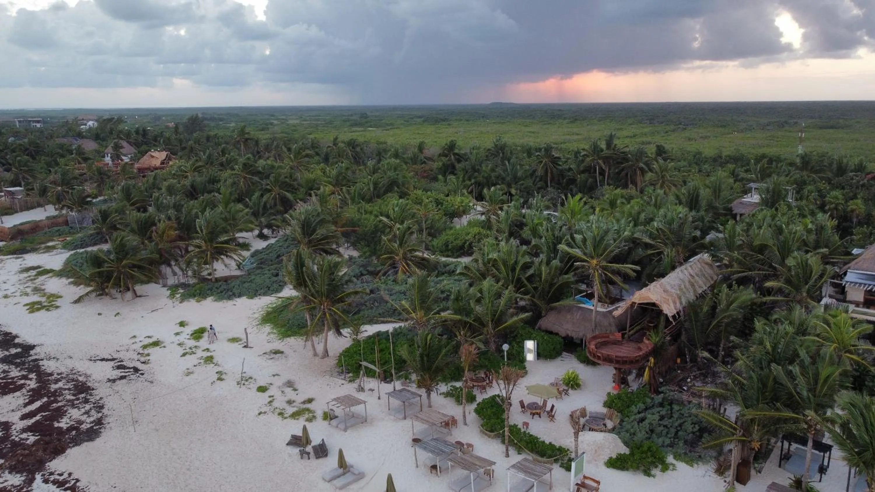 Beach in Orchid House Tulum Beach