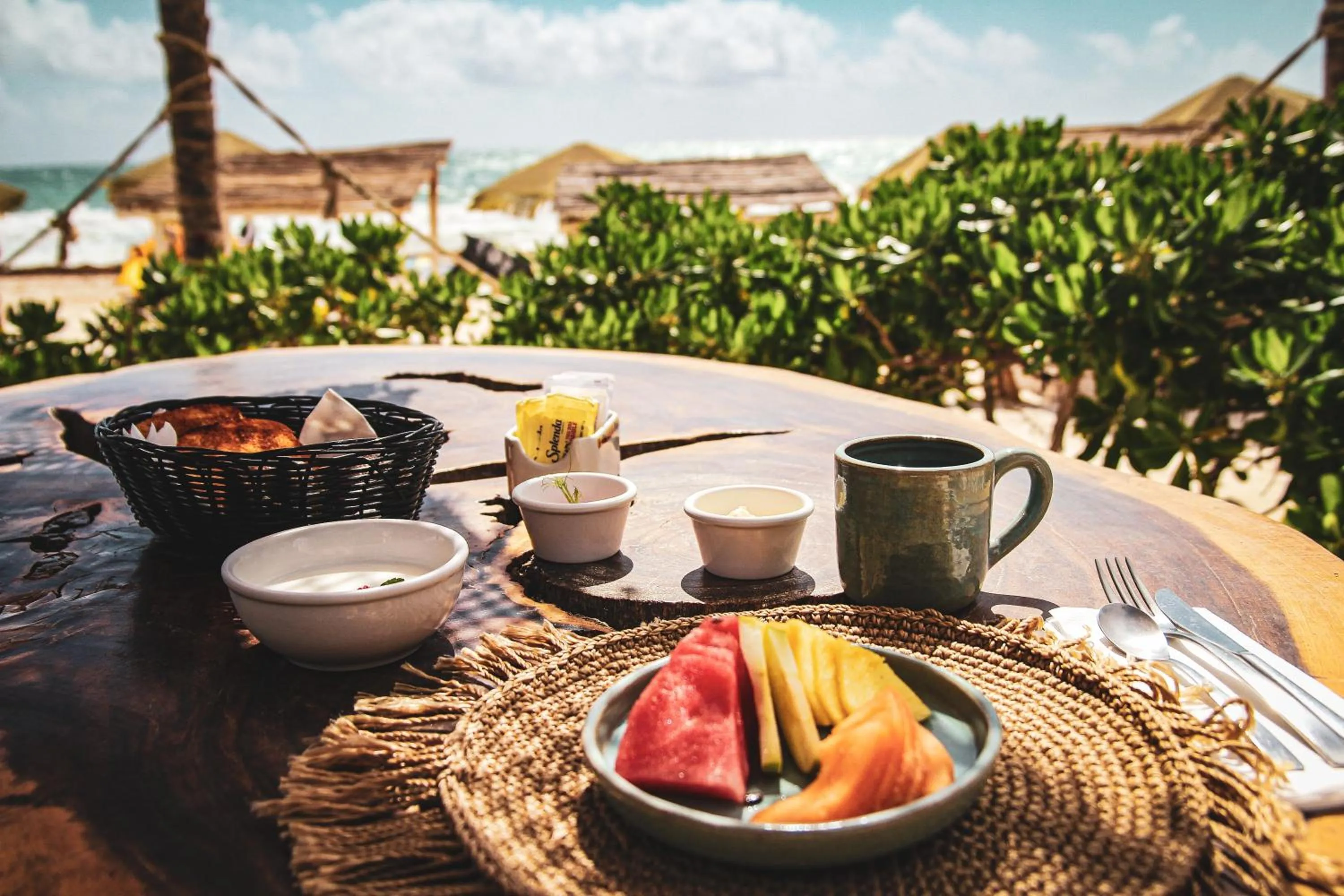 Natural landscape in Orchid House Tulum Beach