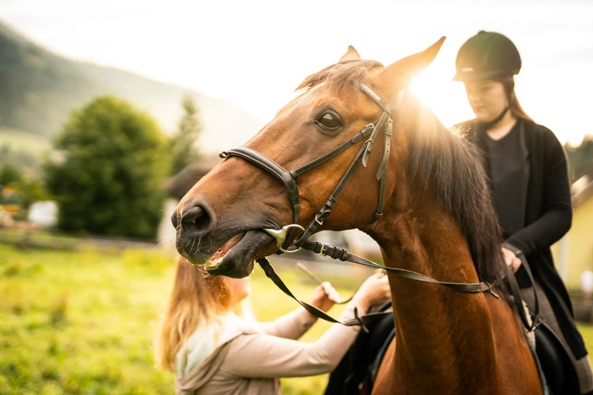 Horse-riding in Hotel Trattlerhof