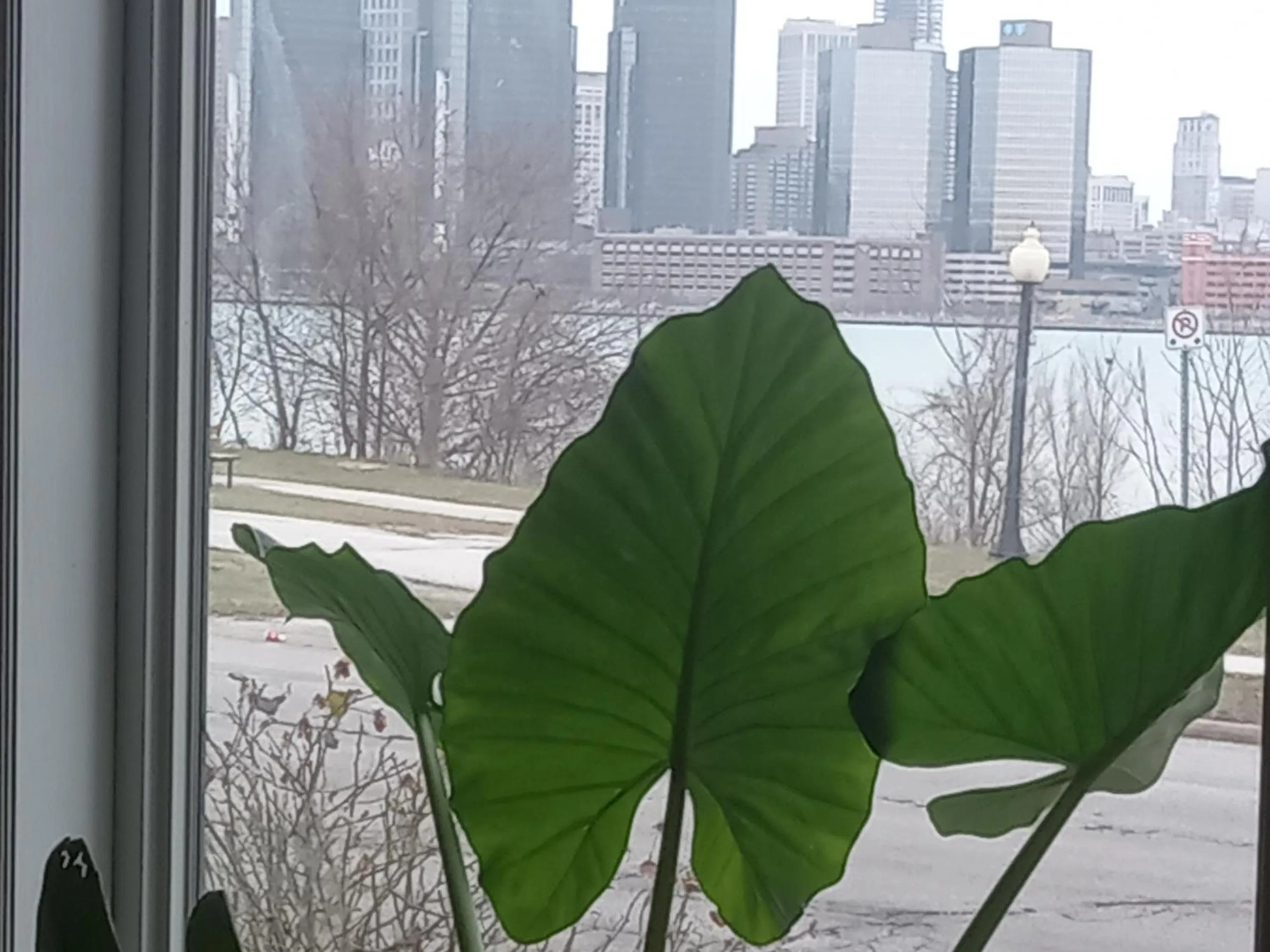 City view in Waterfront Home Windsor ,On, Ca