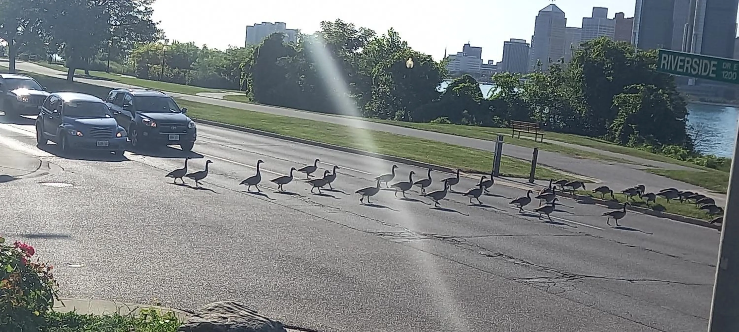 Natural landscape in Waterfront Home Windsor ,On, Ca