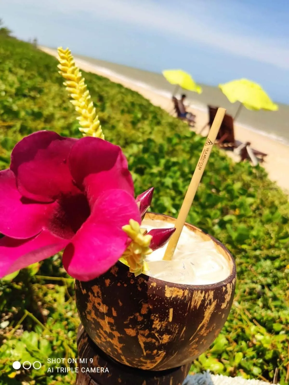 Lounge or bar in Pousada Vila Araticum