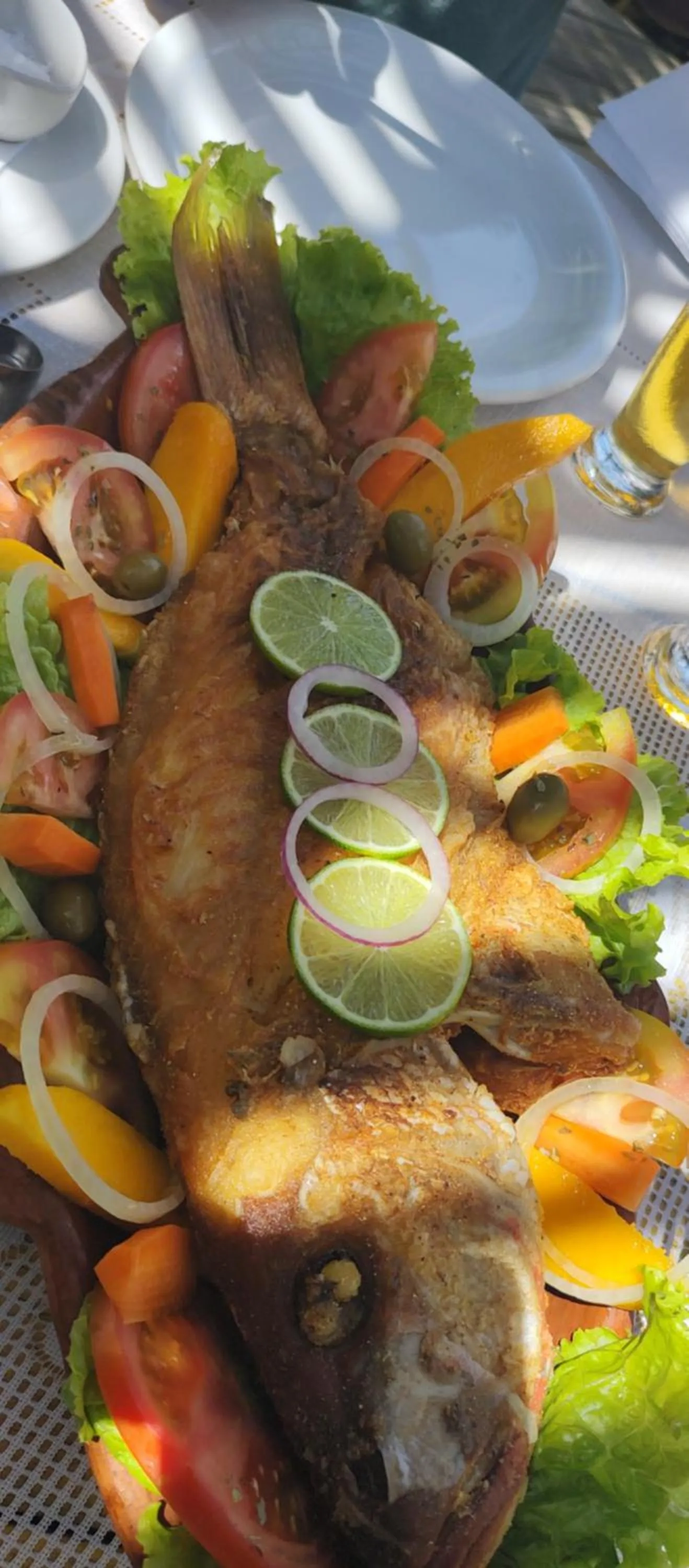 Restaurant/places to eat in Pousada Vila Araticum