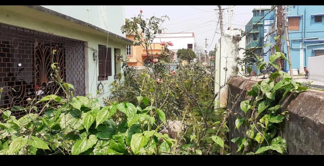 Garden in Vamoose Sadhana Bhaban