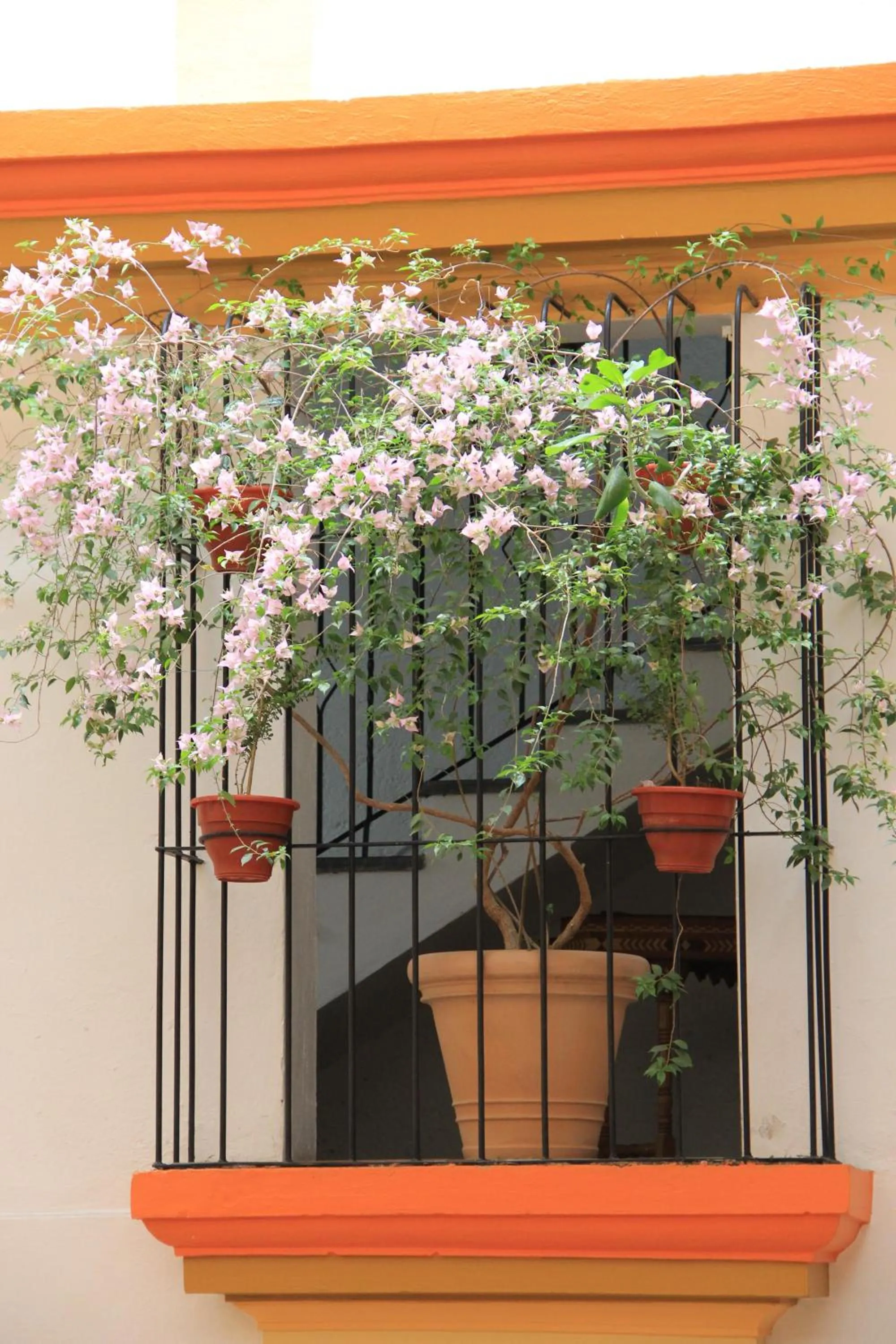 Other in Hotel Ciudad Real Centro Historico