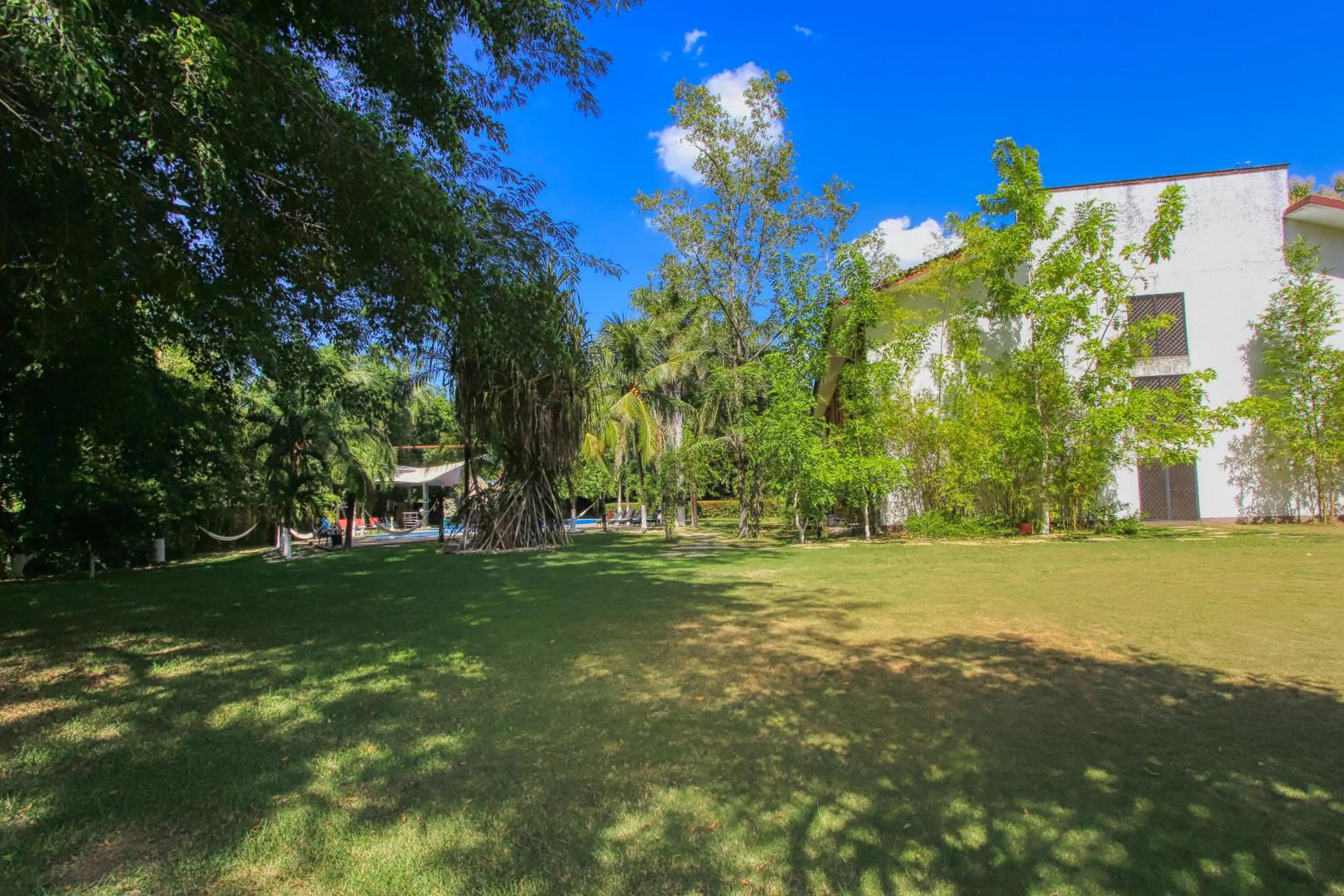 Garden in Hotel Ciudad Real Palenque