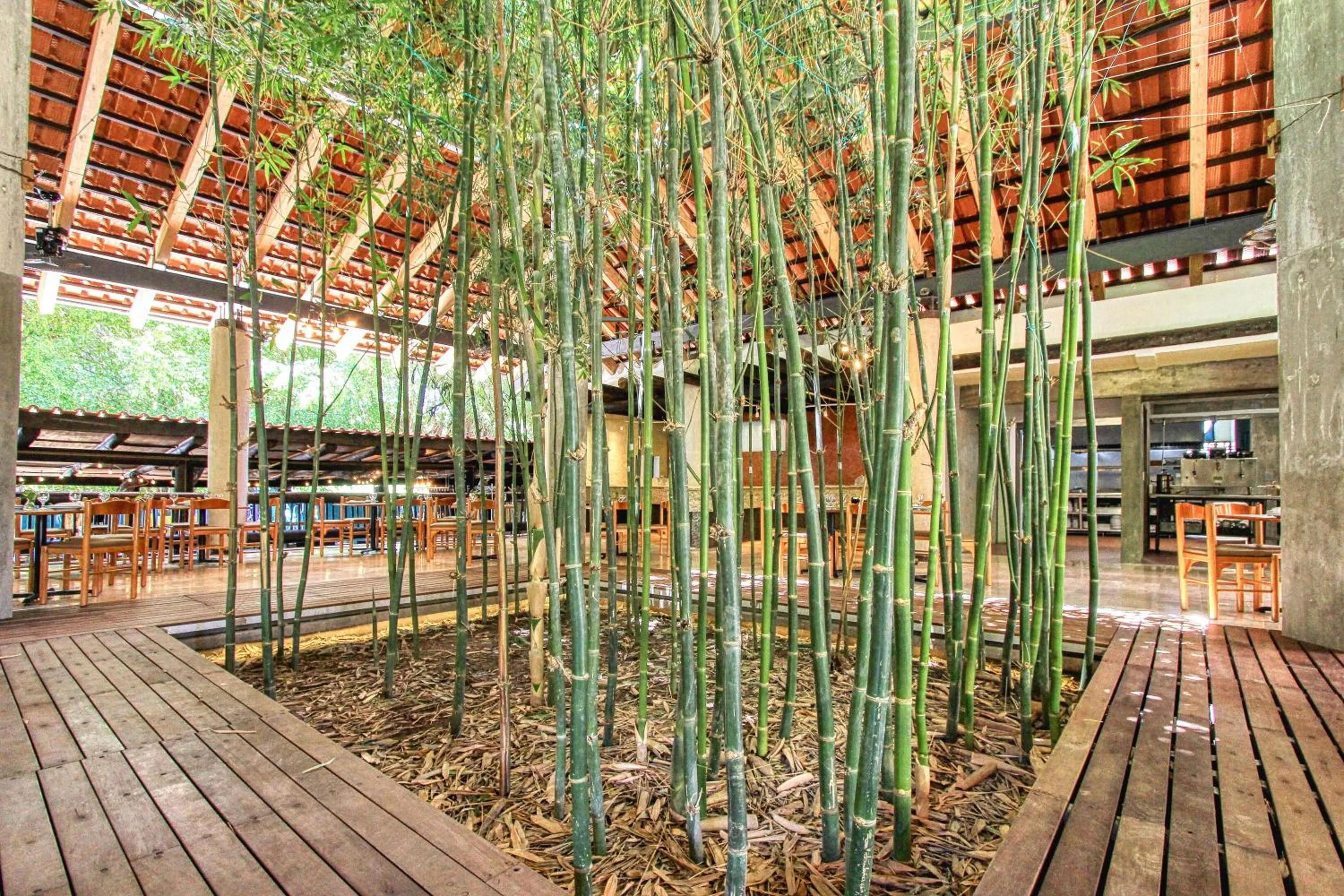 Restaurant/places to eat in Hotel Ciudad Real Palenque