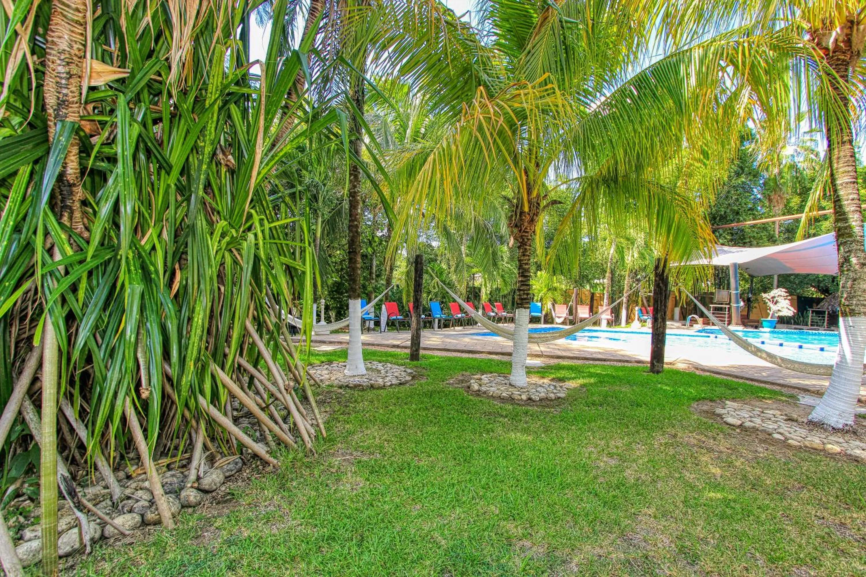Garden in Hotel Ciudad Real Palenque