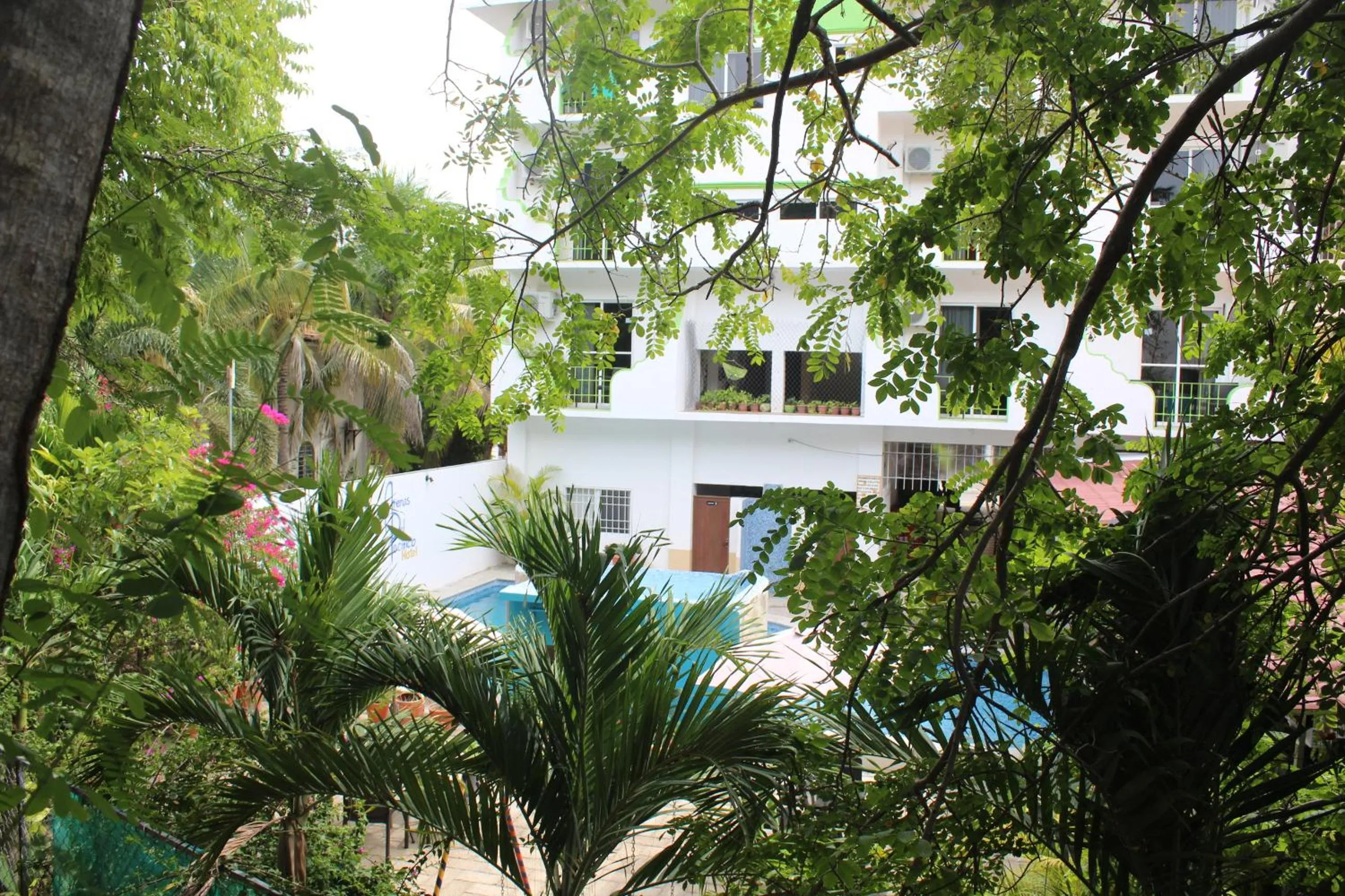 View (from property/room) in Hotel Arenas del Pacifico