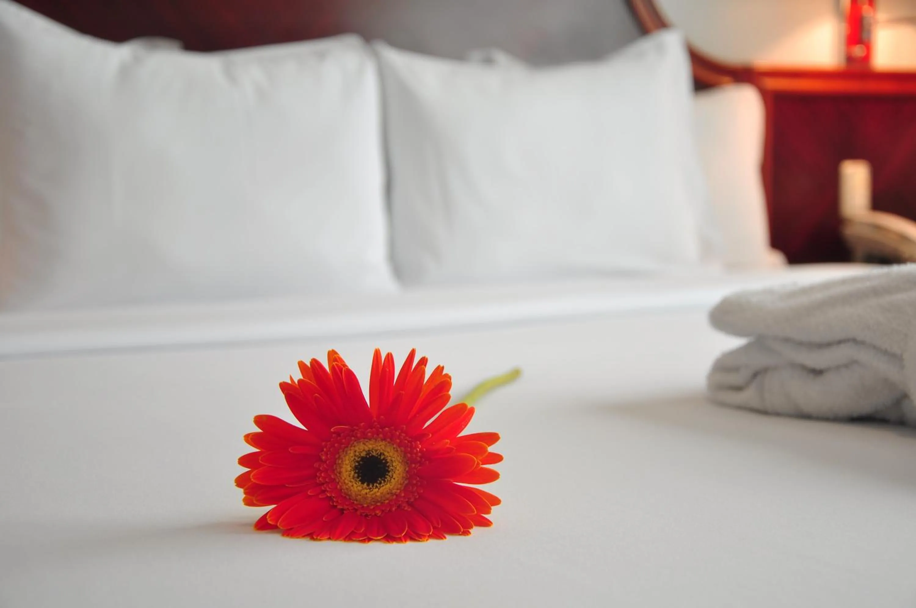 Bed in Kingdom Hotel