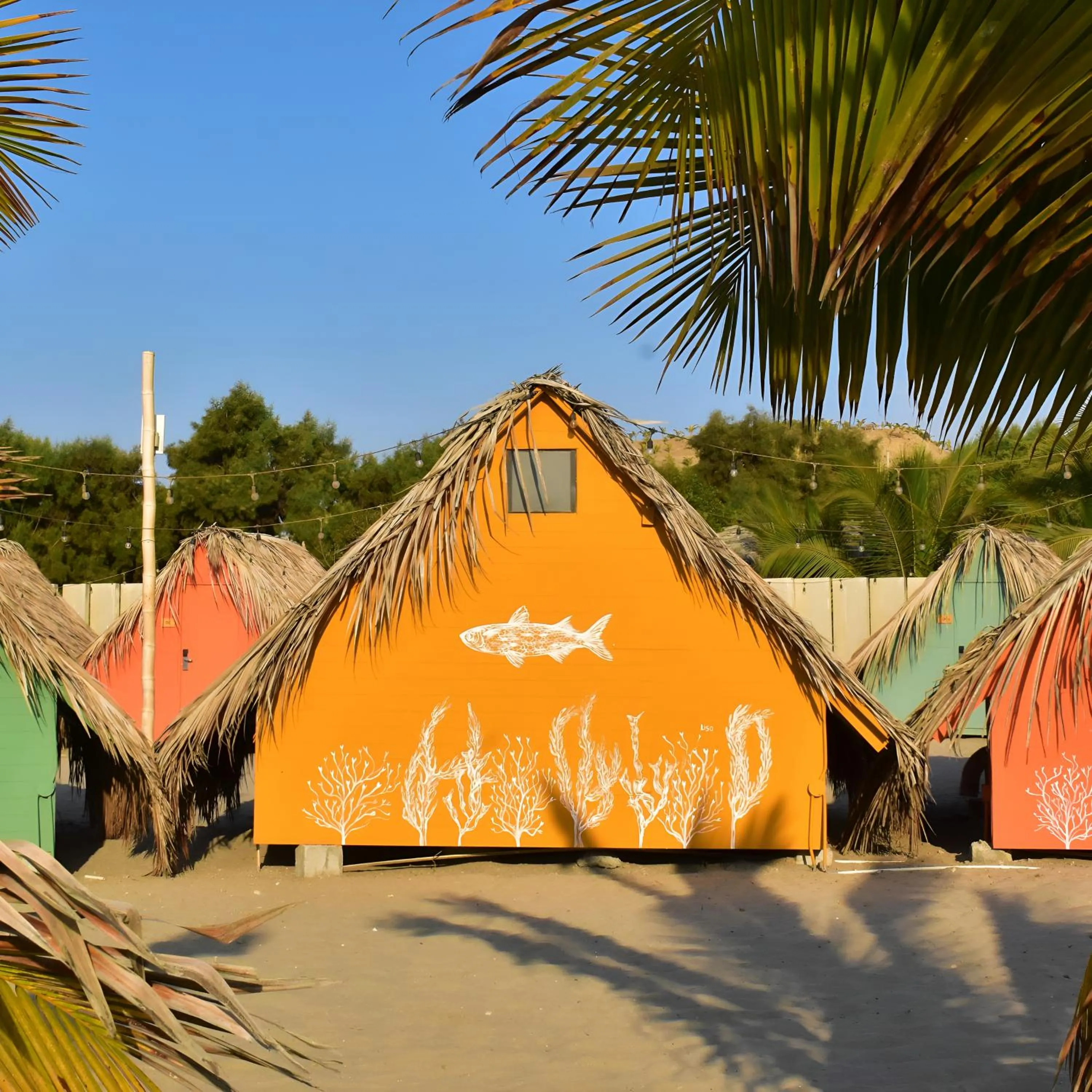 View (from property/room) in qema Mancora