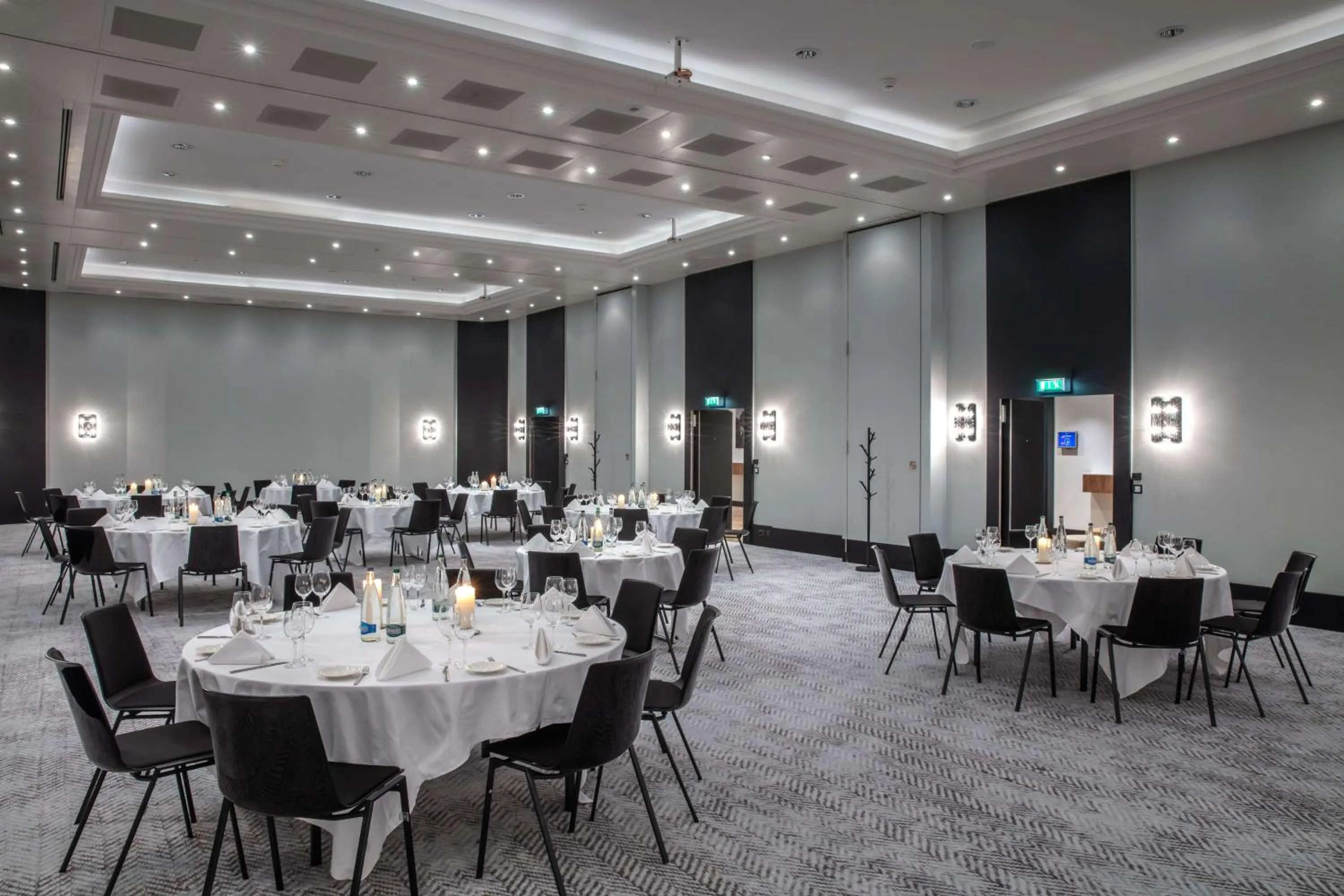 Banquet/Function facilities in Radisson Blu, Basel