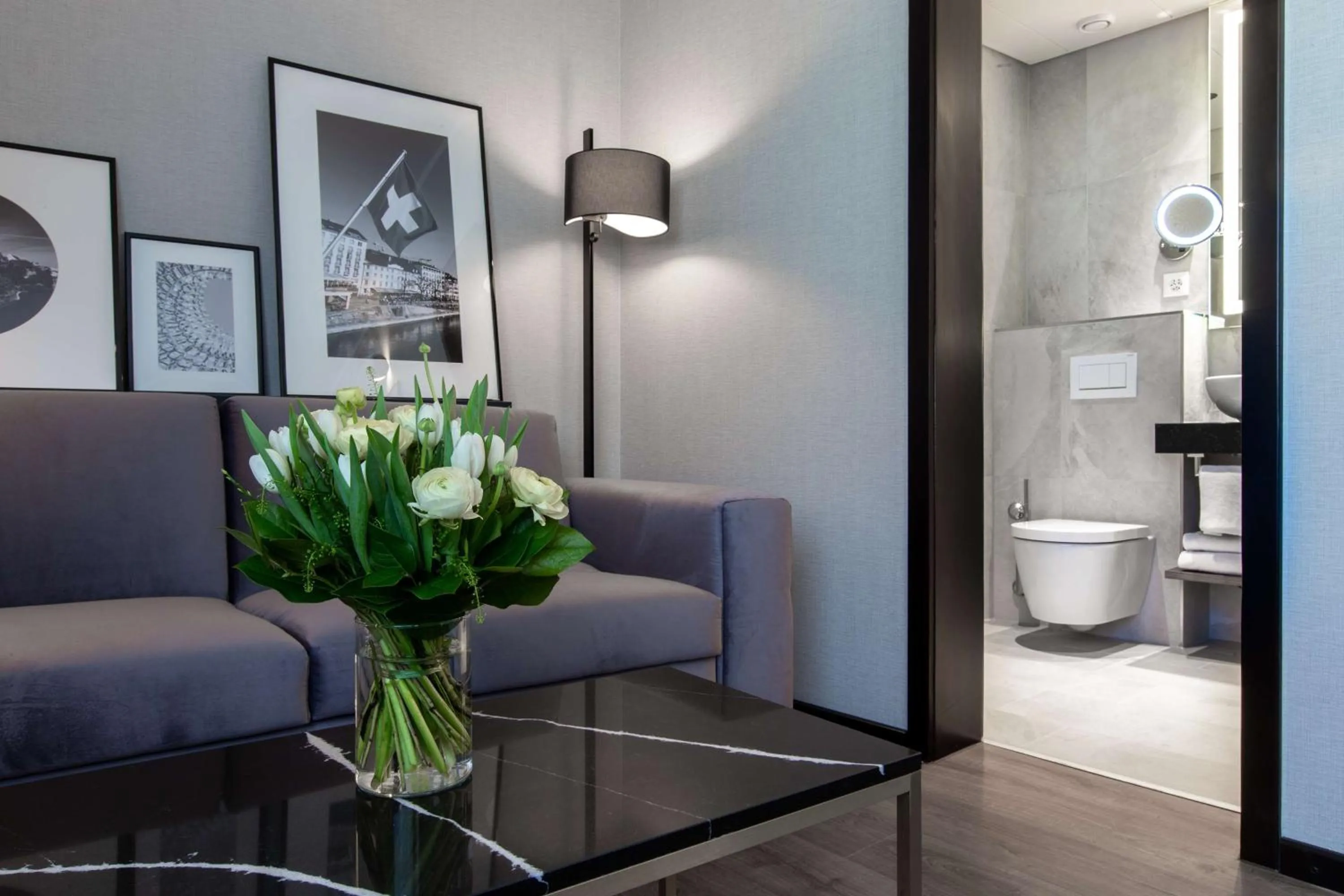 Toilet in Radisson Blu, Basel