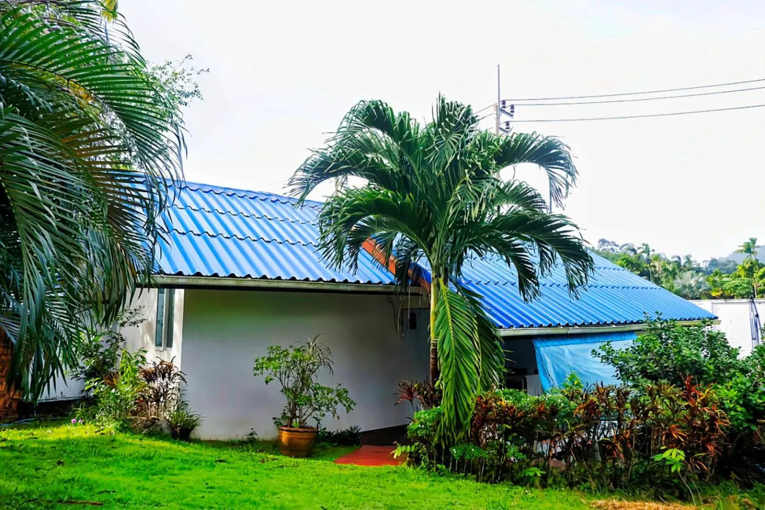 Natural landscape in Kingsacre