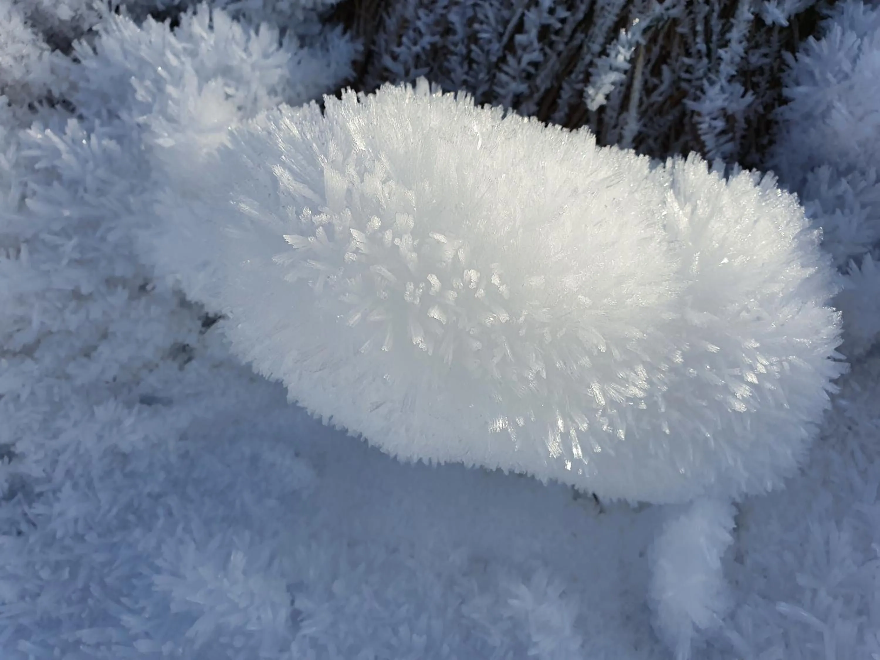 Natural landscape in Boutique Hotel Alpenhof