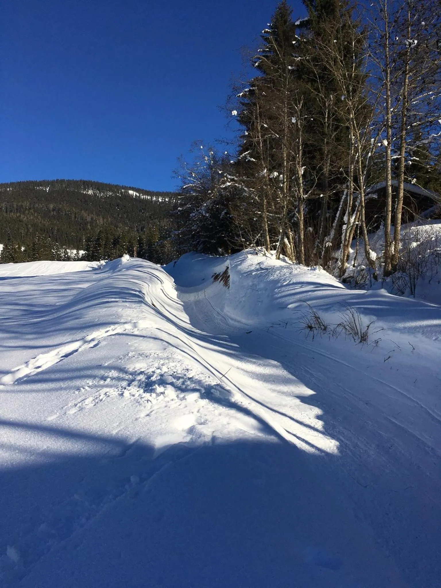 Activities in Boutique Hotel Alpenhof