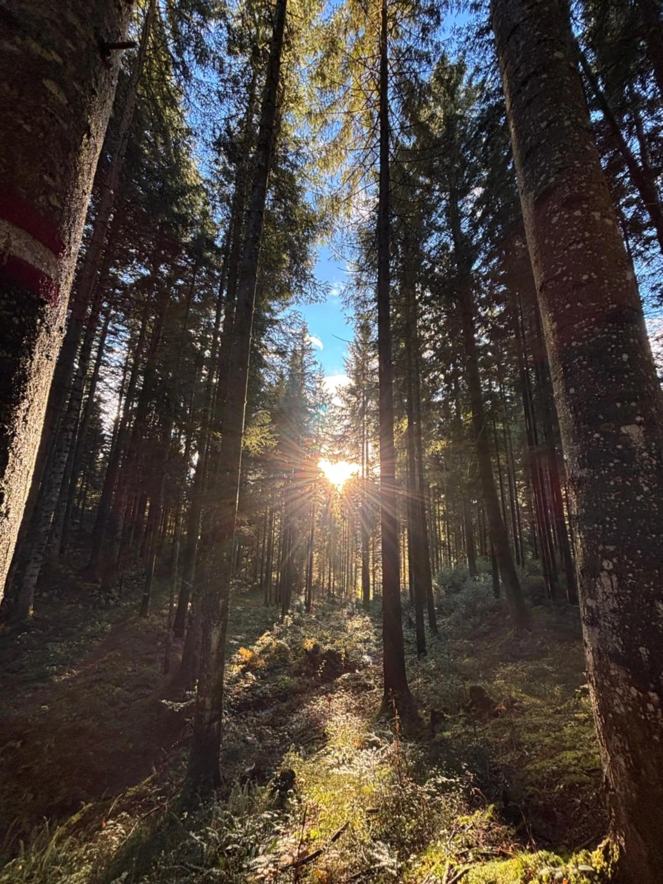 Nearby landmark in Boutique Hotel Alpenhof