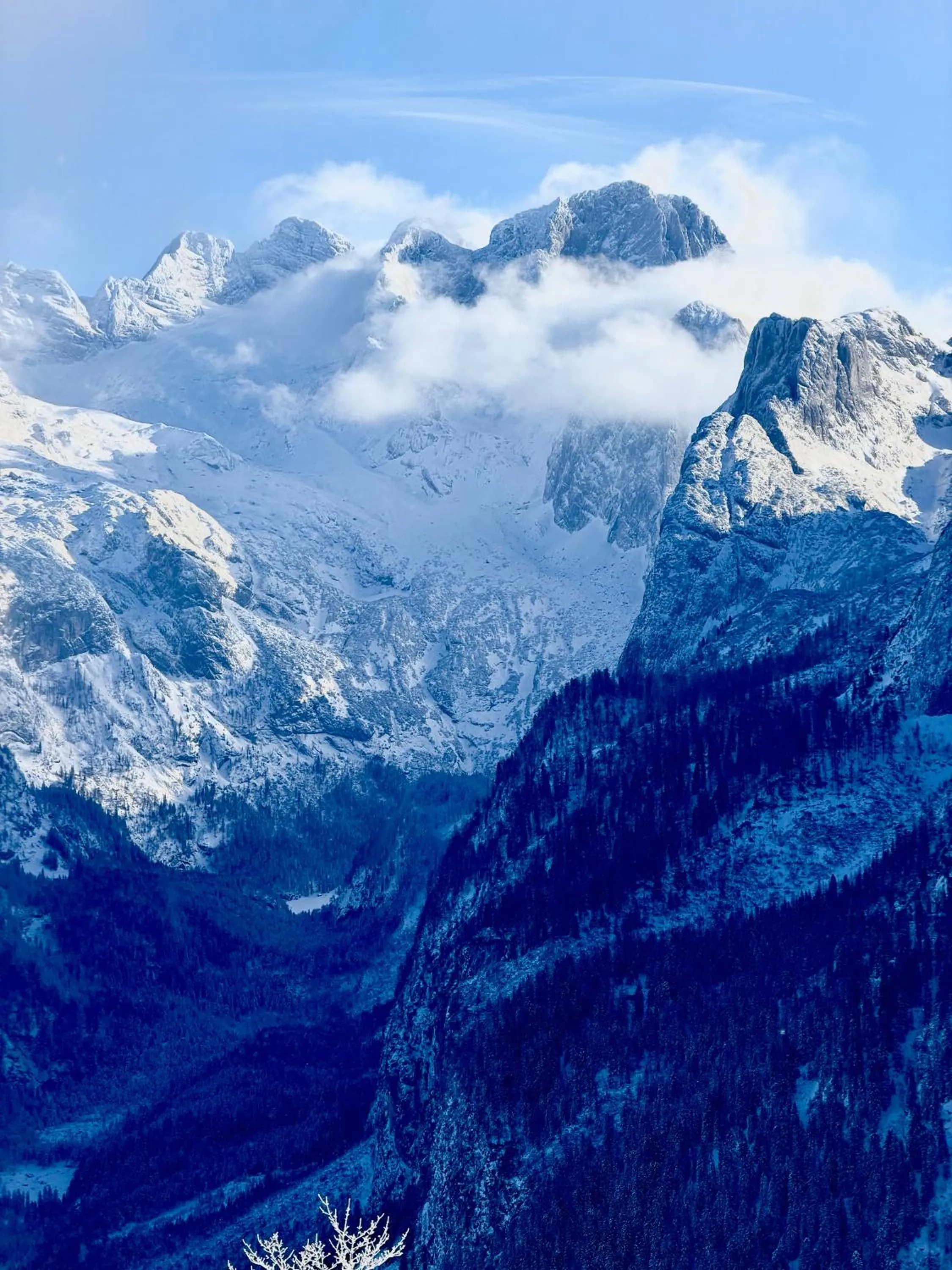 Winter in Boutique Hotel Alpenhof