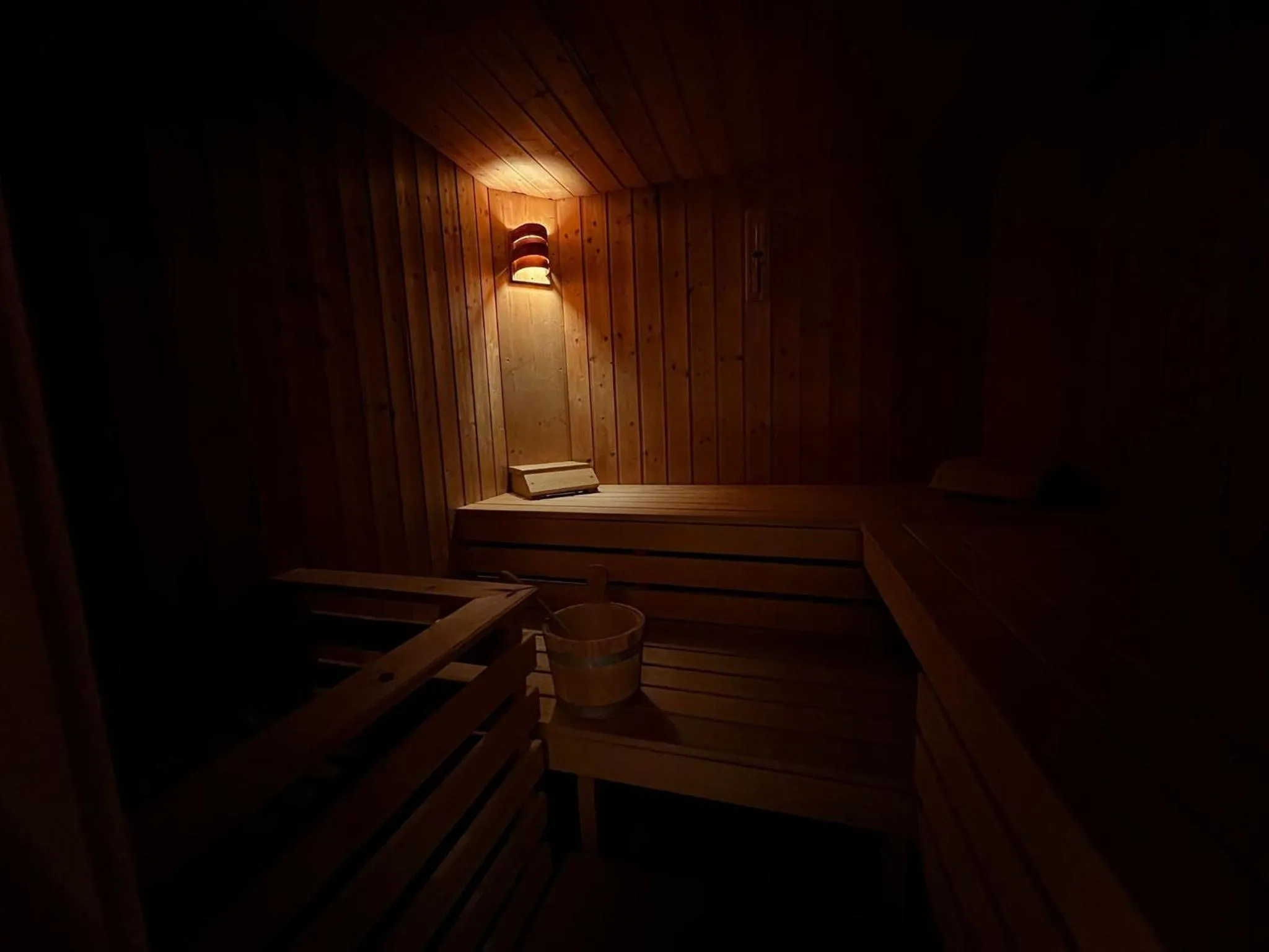 Sauna in Boutique Hotel Alpenhof