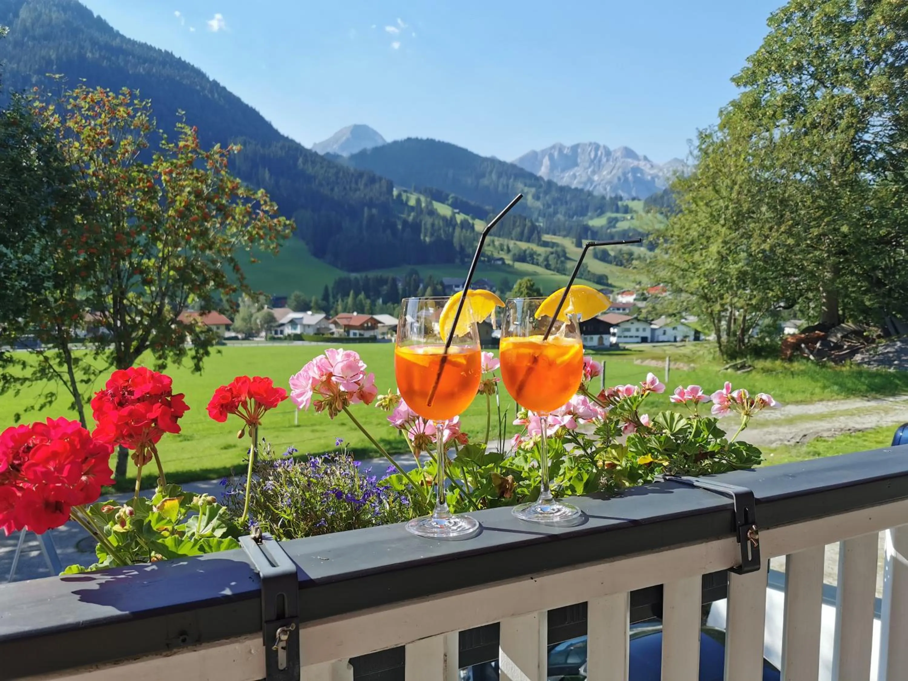 Balcony/Terrace in Boutique Hotel Alpenhof