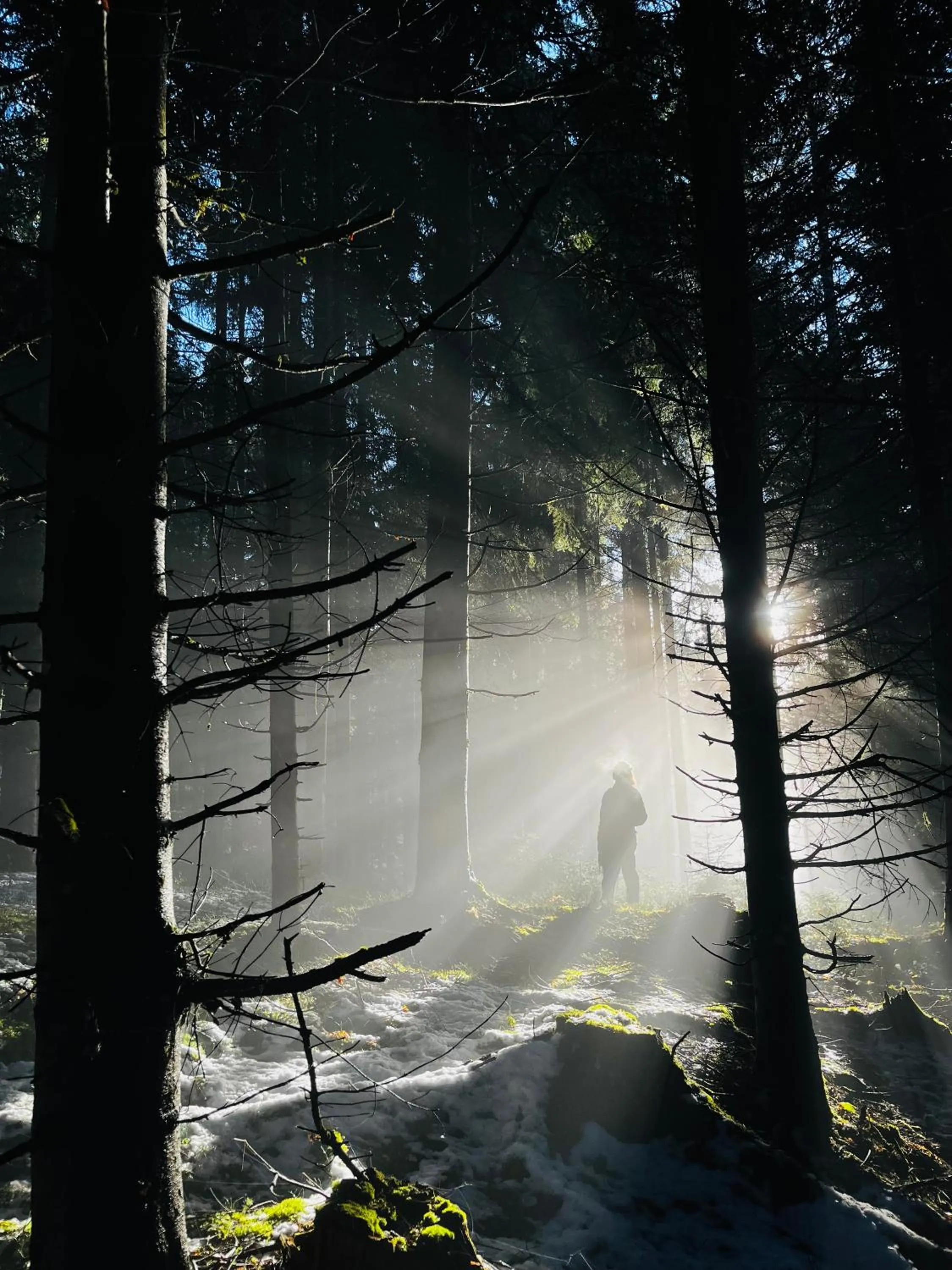 Natural landscape in Boutique Hotel Alpenhof