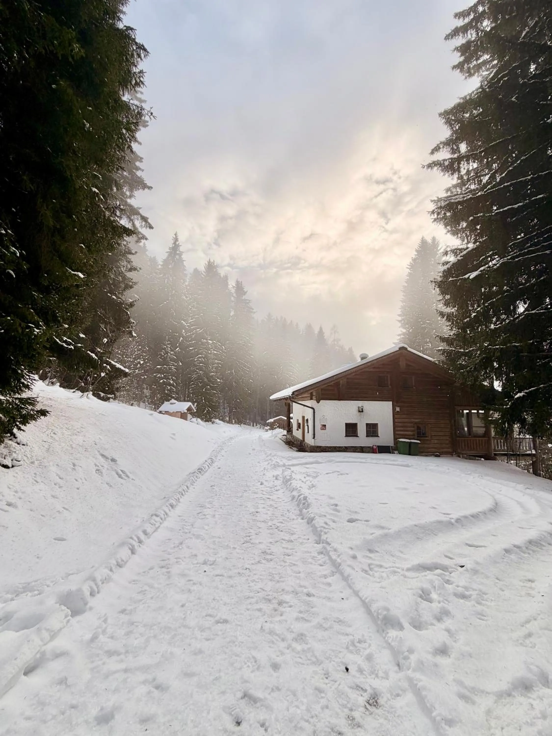 Winter in Boutique Hotel Alpenhof