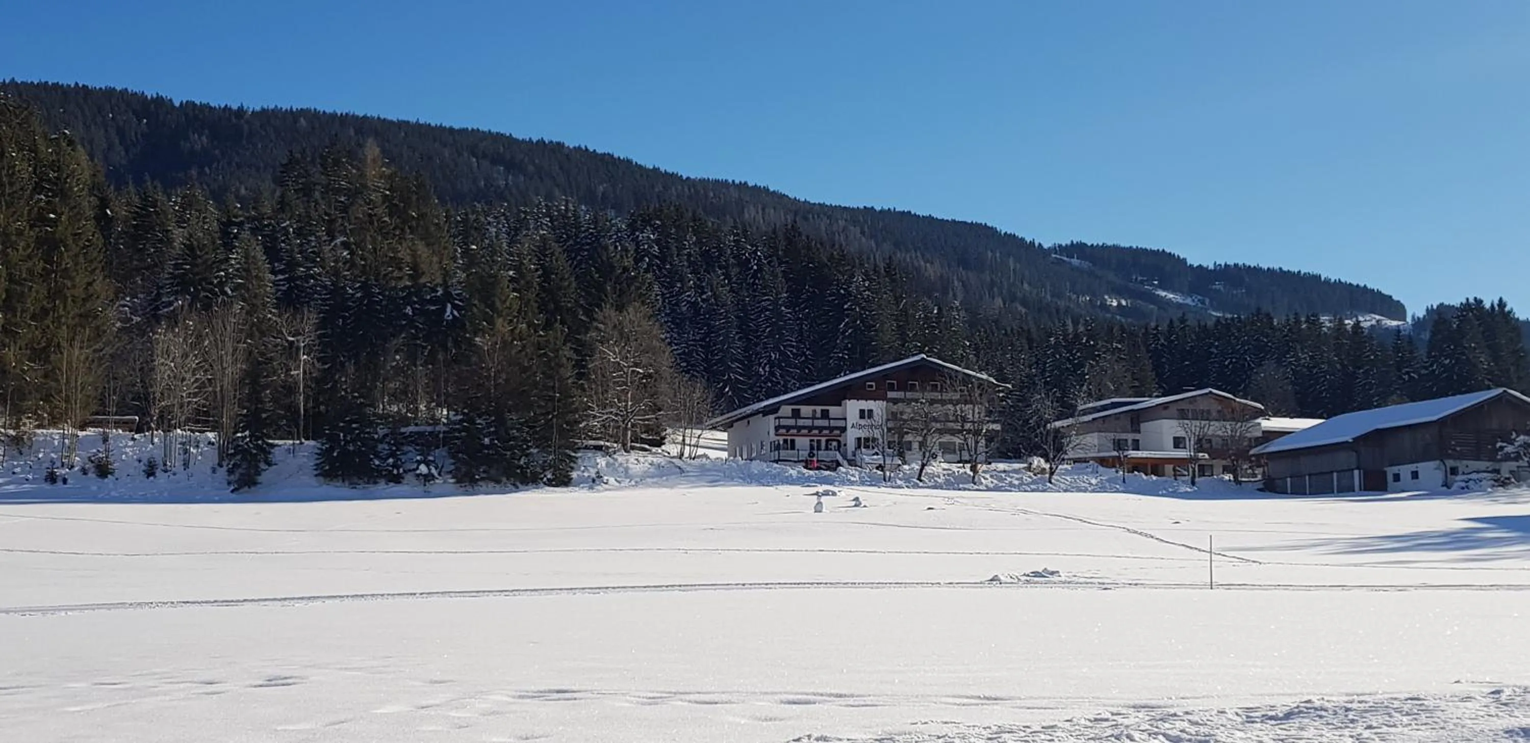 Winter in Boutique Hotel Alpenhof