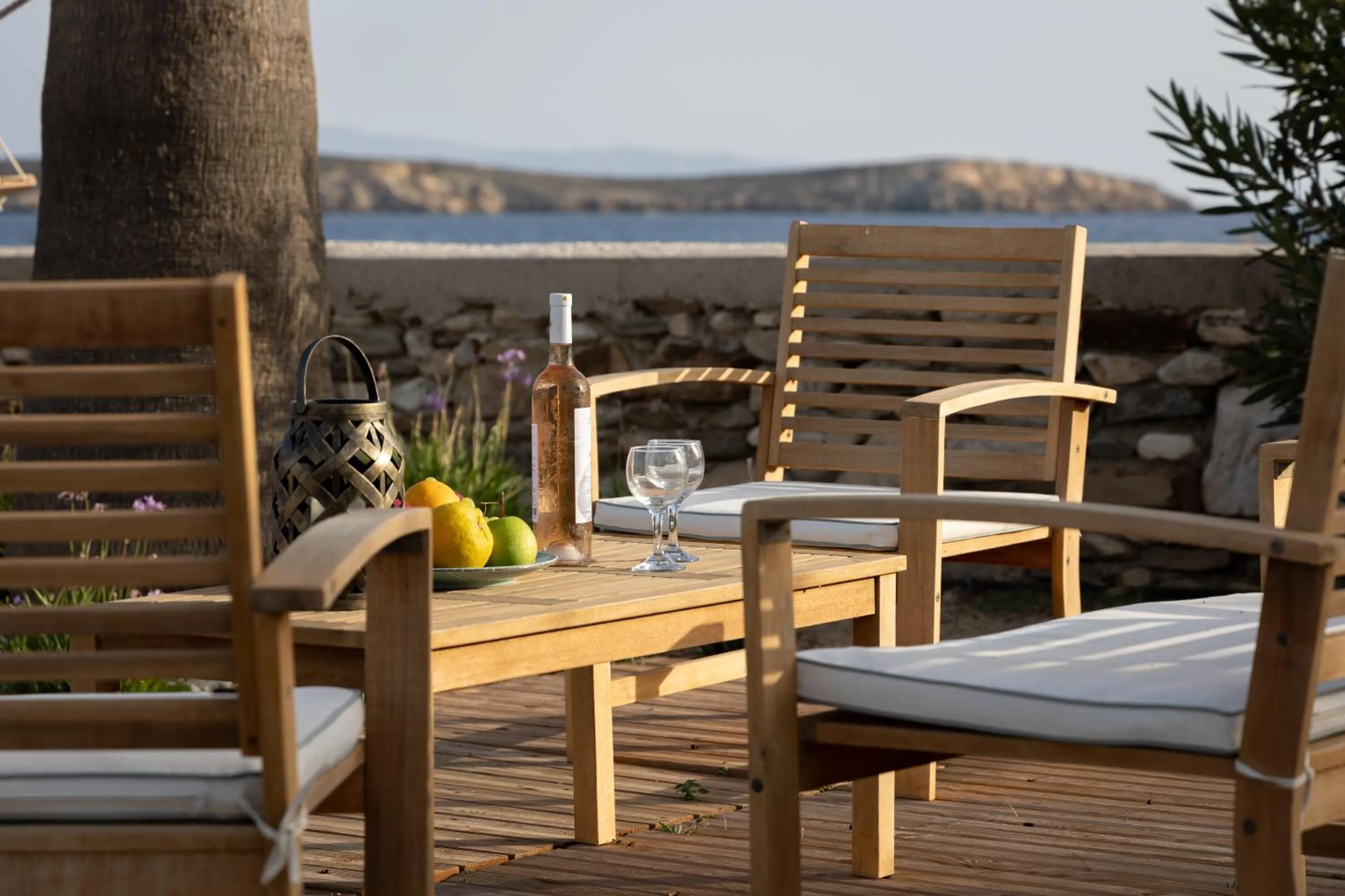 Garden in Seample studios