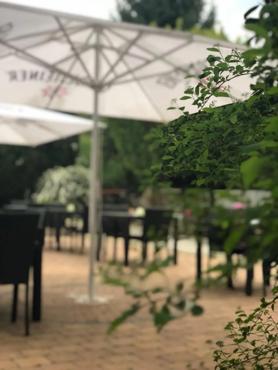 Garden view in Landhotel Traube