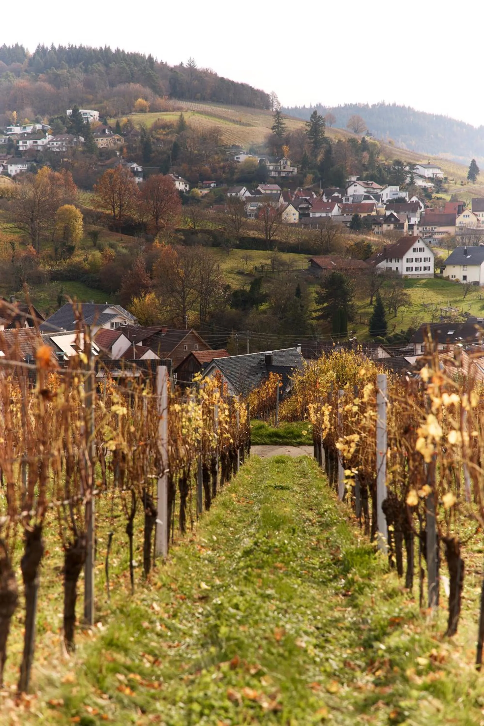 Autumn in Landhotel Traube