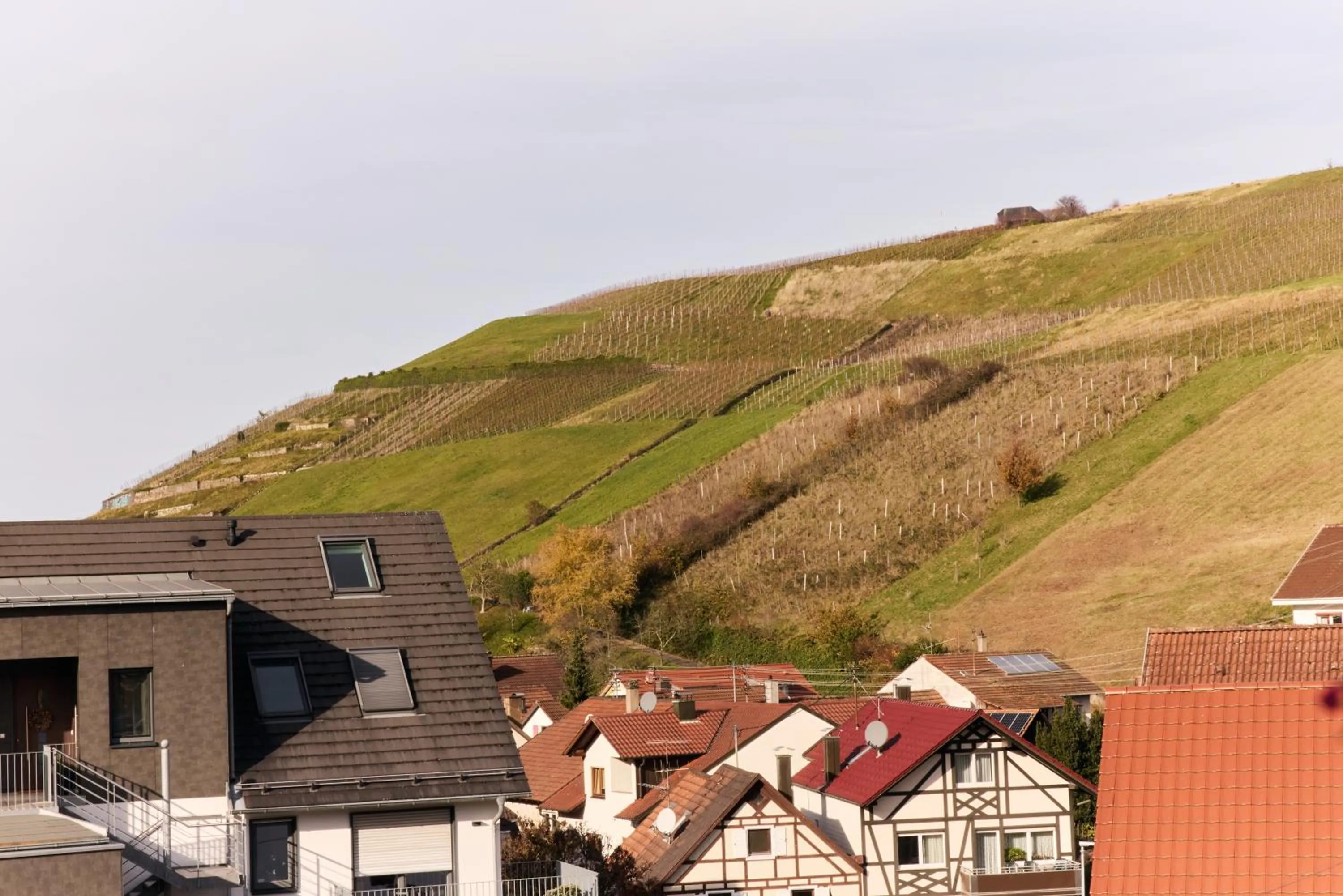 View (from property/room) in Landhotel Traube