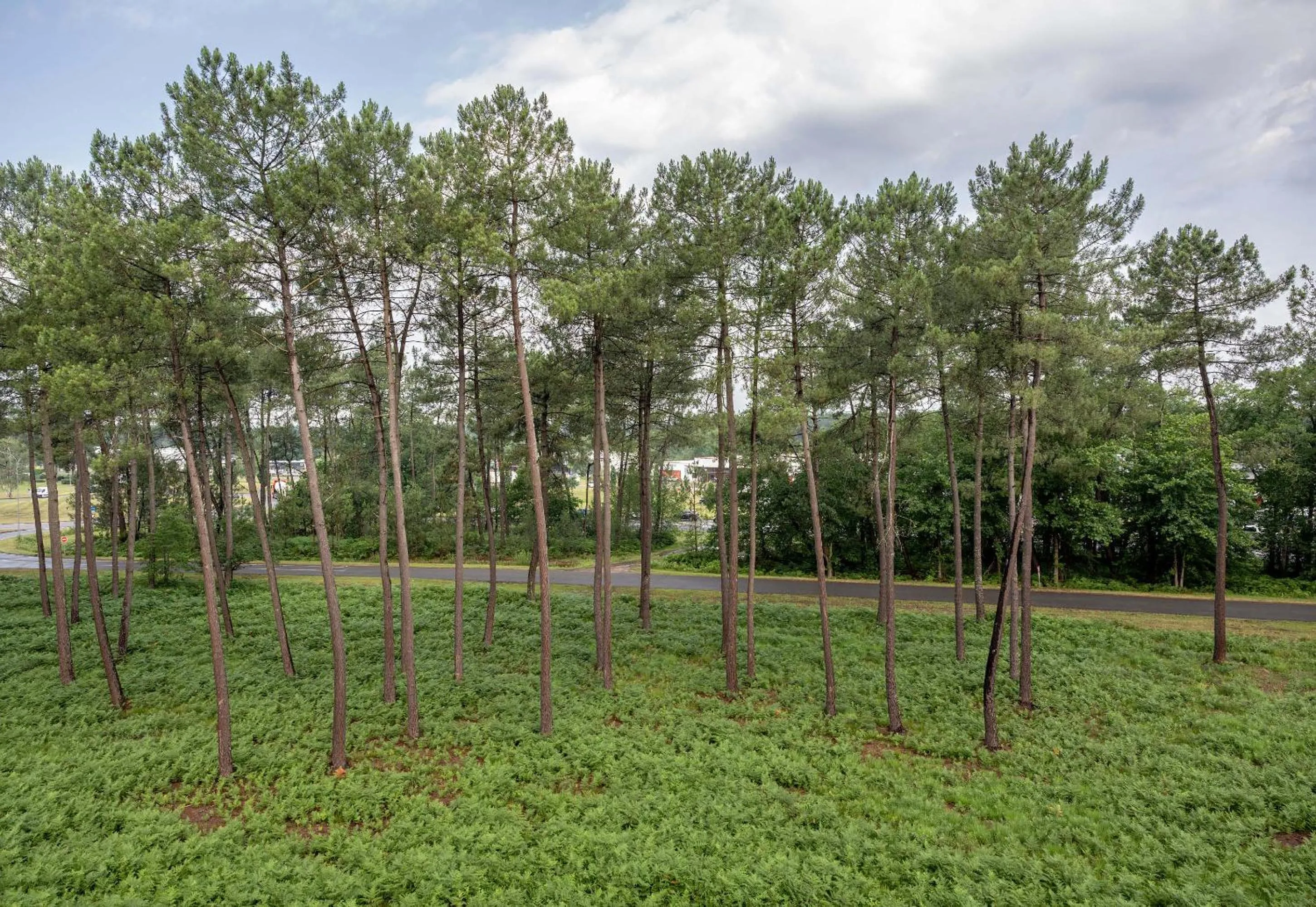 City view in B&B HOTEL Mont-de-Marsan