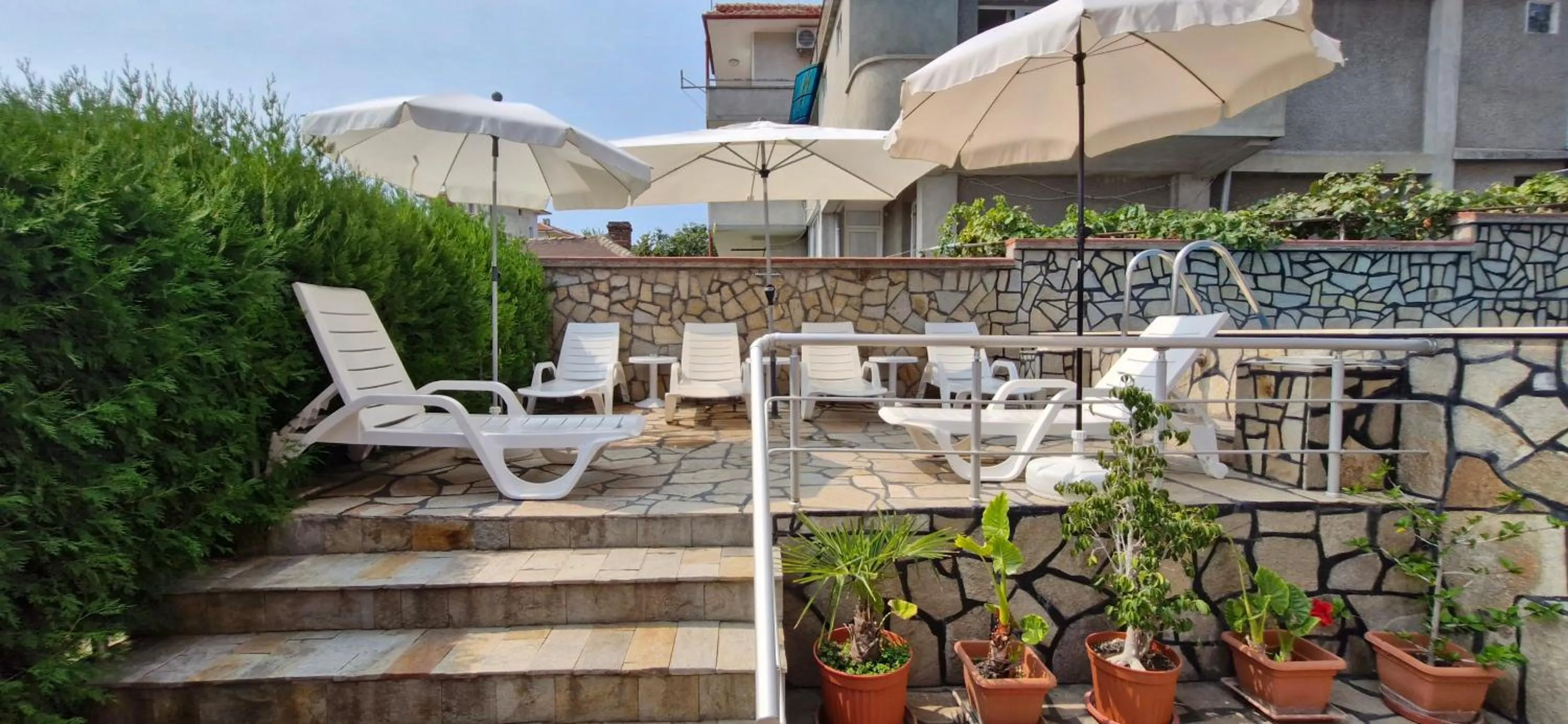 sunbed in Family hotel Favourite